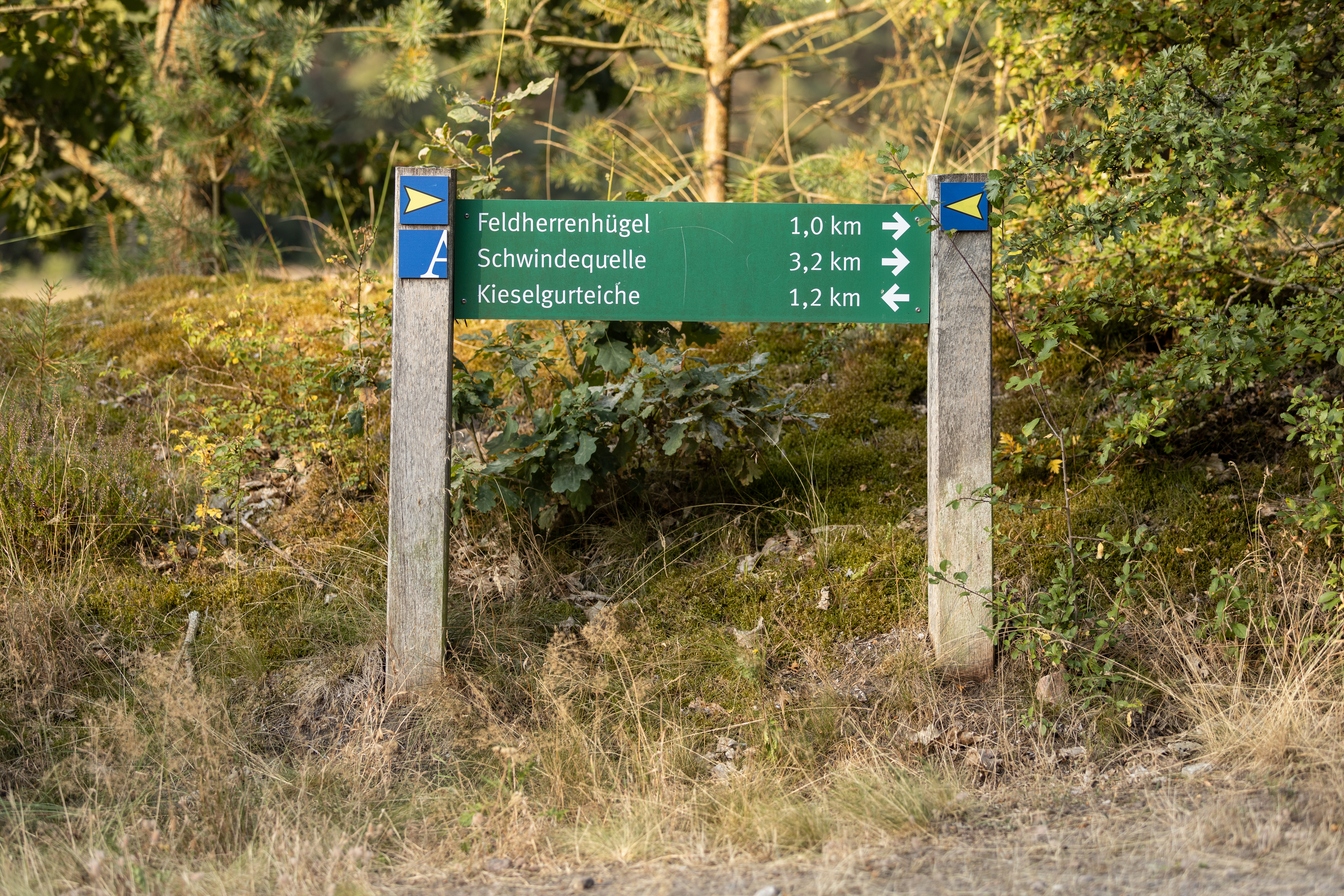 Wandern auf dem Heidepanorama-Weg