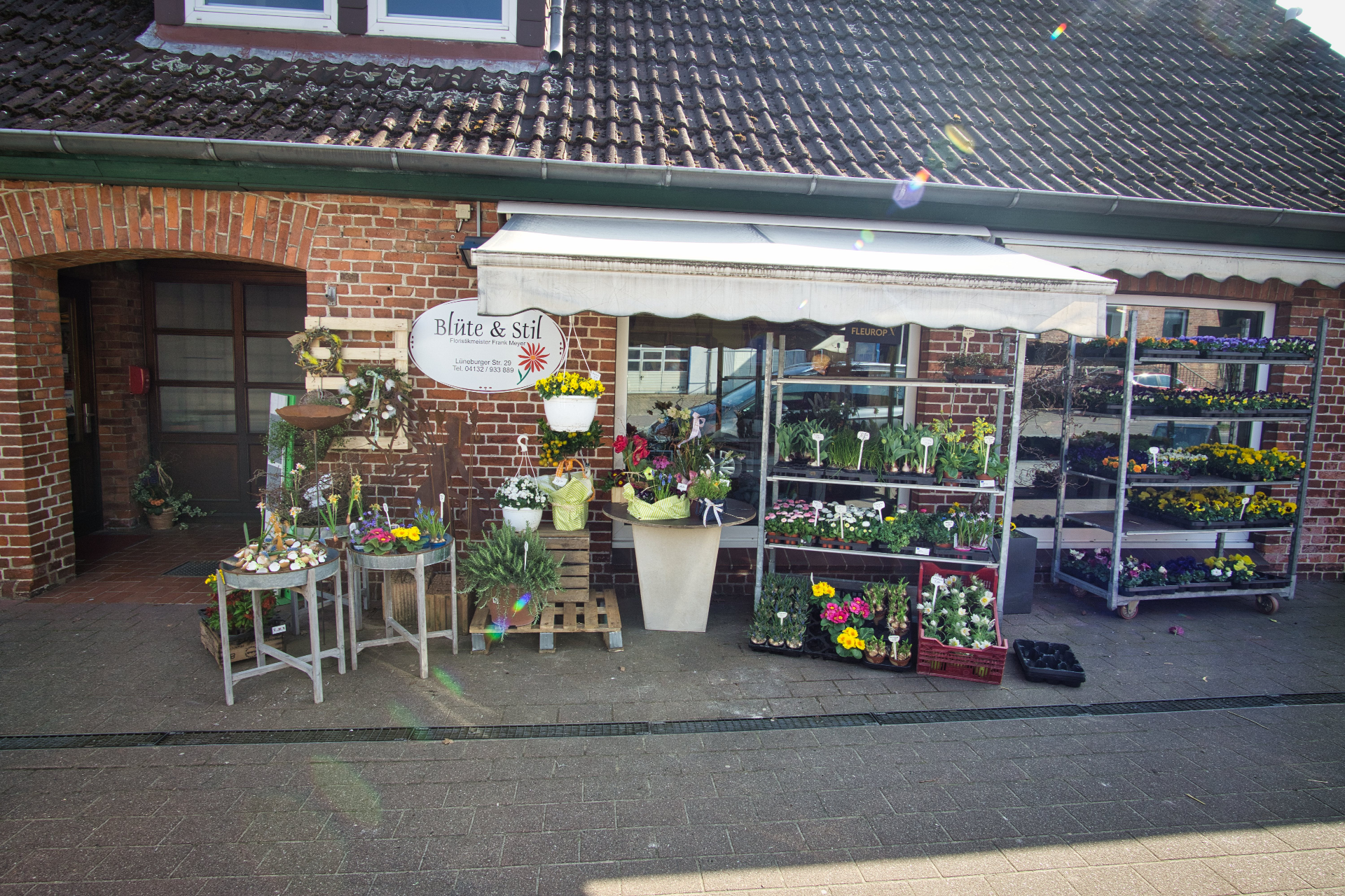 Blüte und Stil