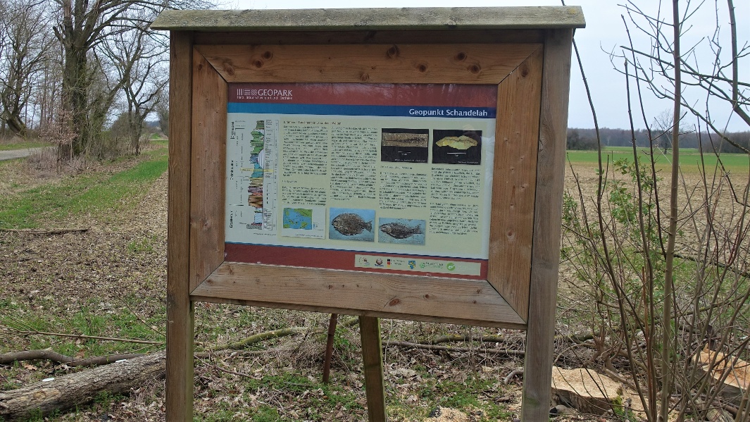 Tag des Geotops am Geopunkt Jurameer Schandelah inkl. Aktionstag Fischsaurier