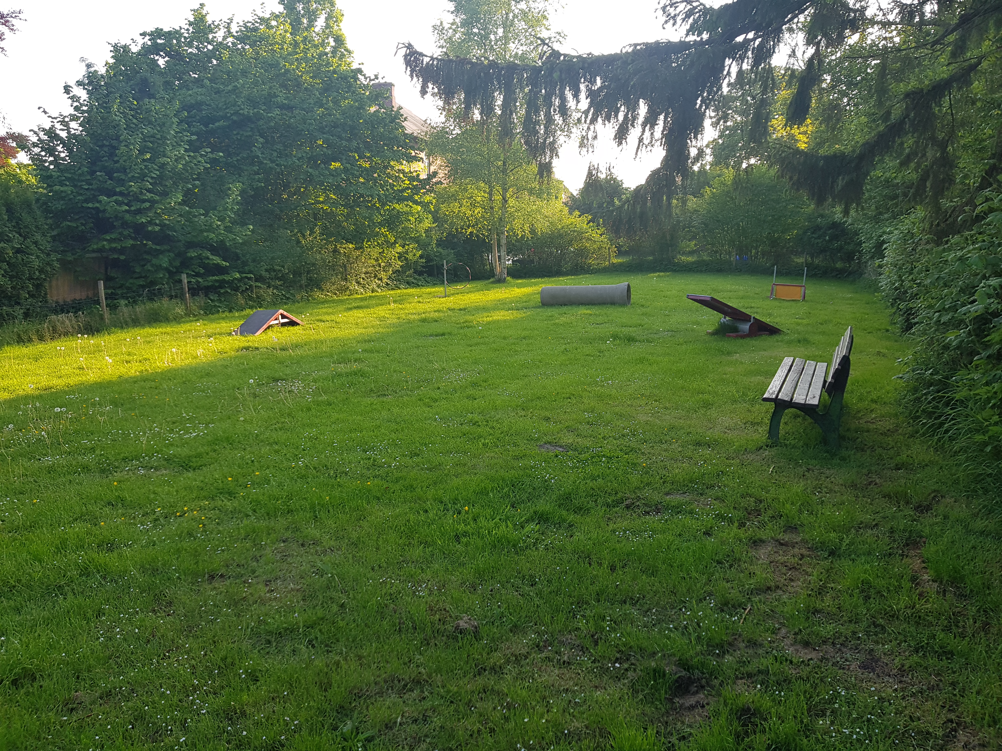 Hundeplatz Oberndorf
