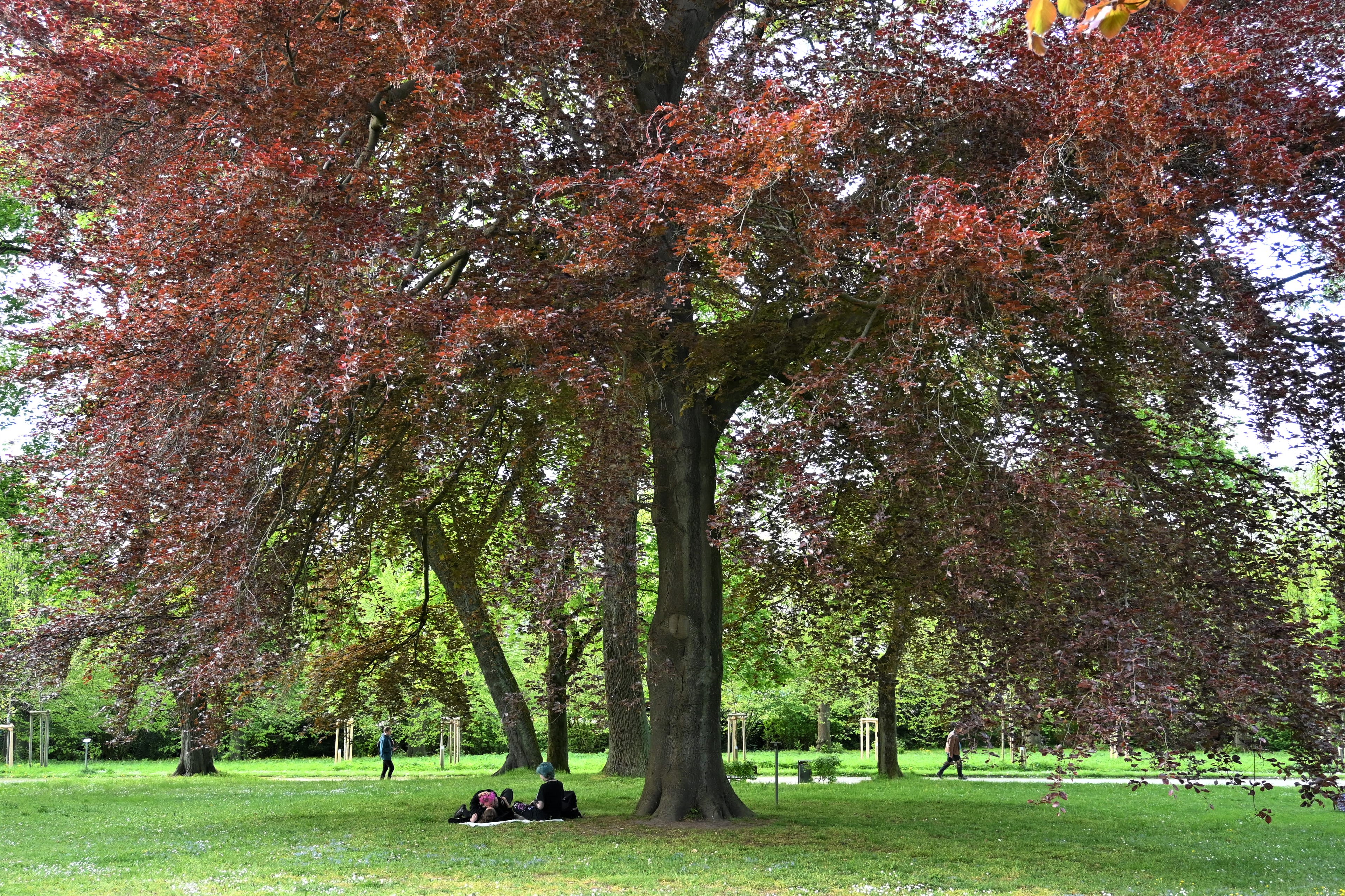Bürgerpark