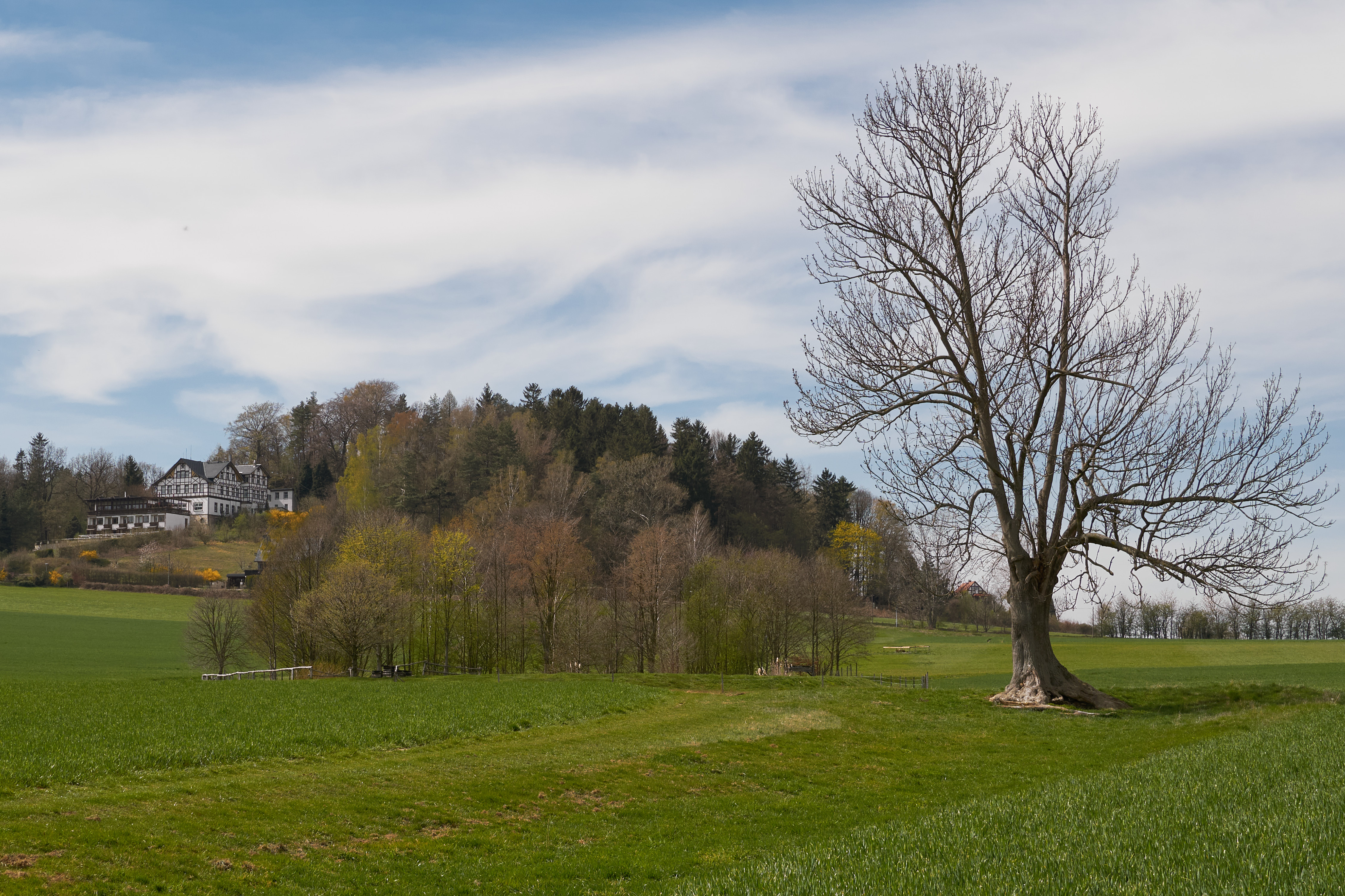 Restaurant Wolfsberg – Motiv
