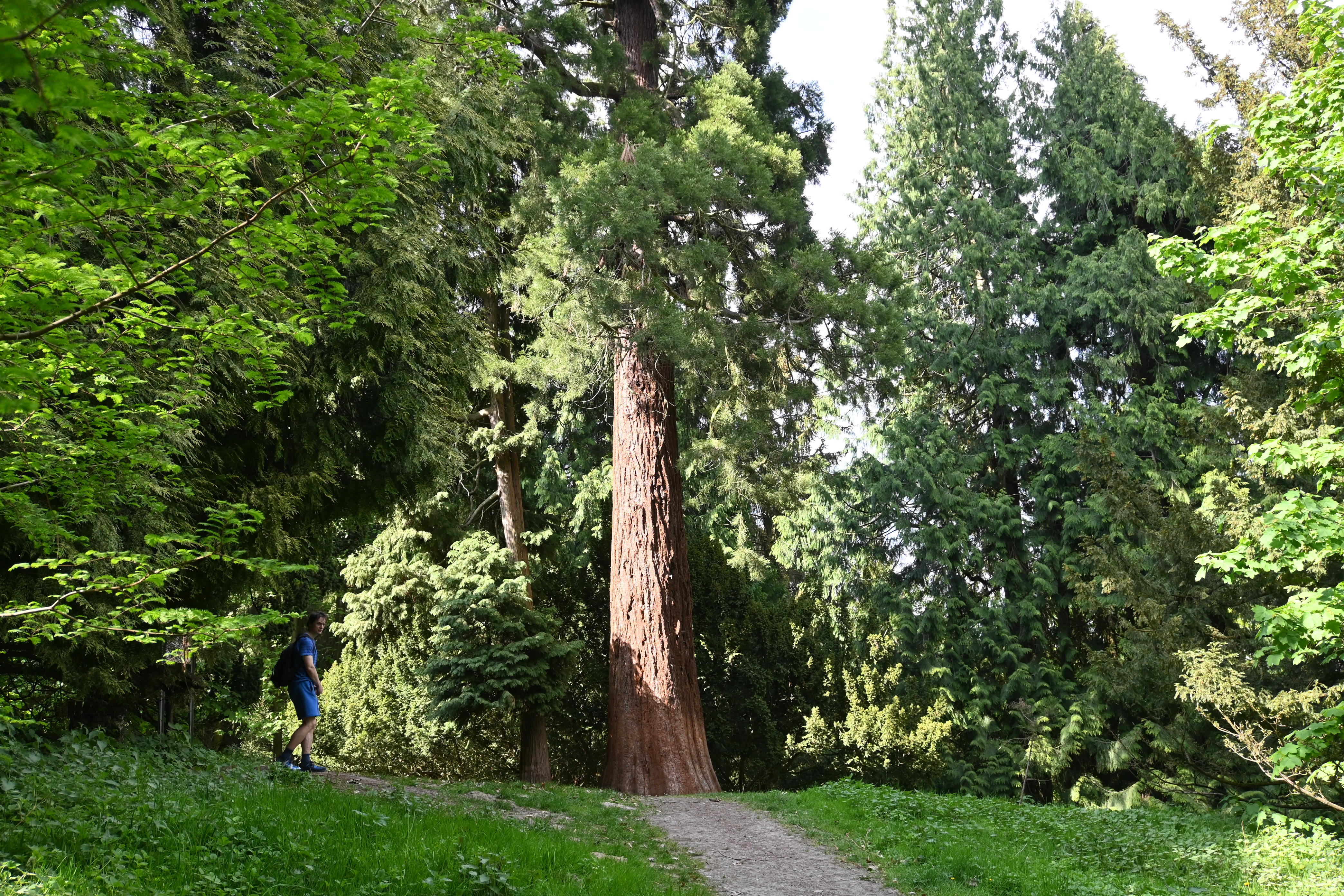 Arboretum am Piesberg