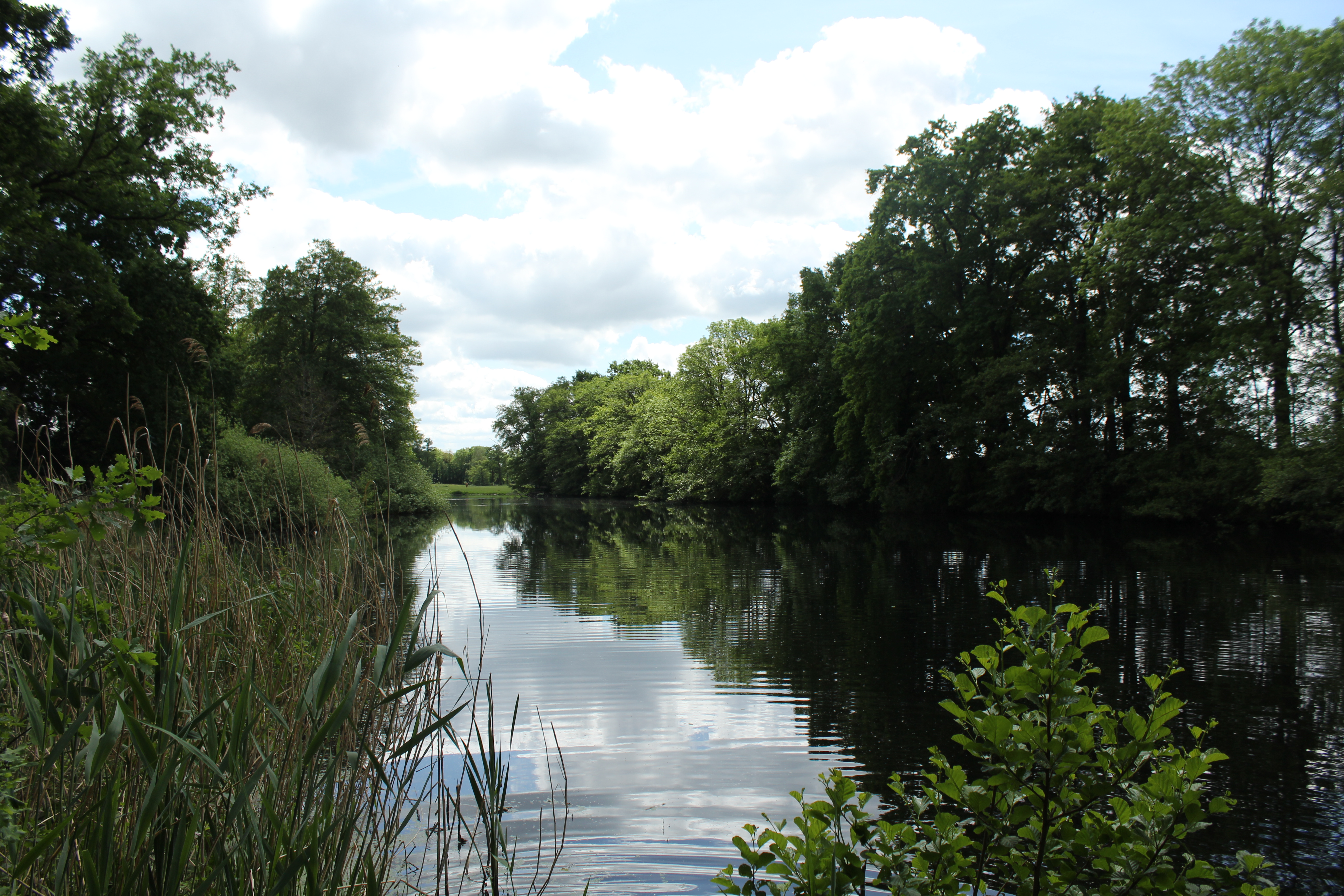 Alveser See