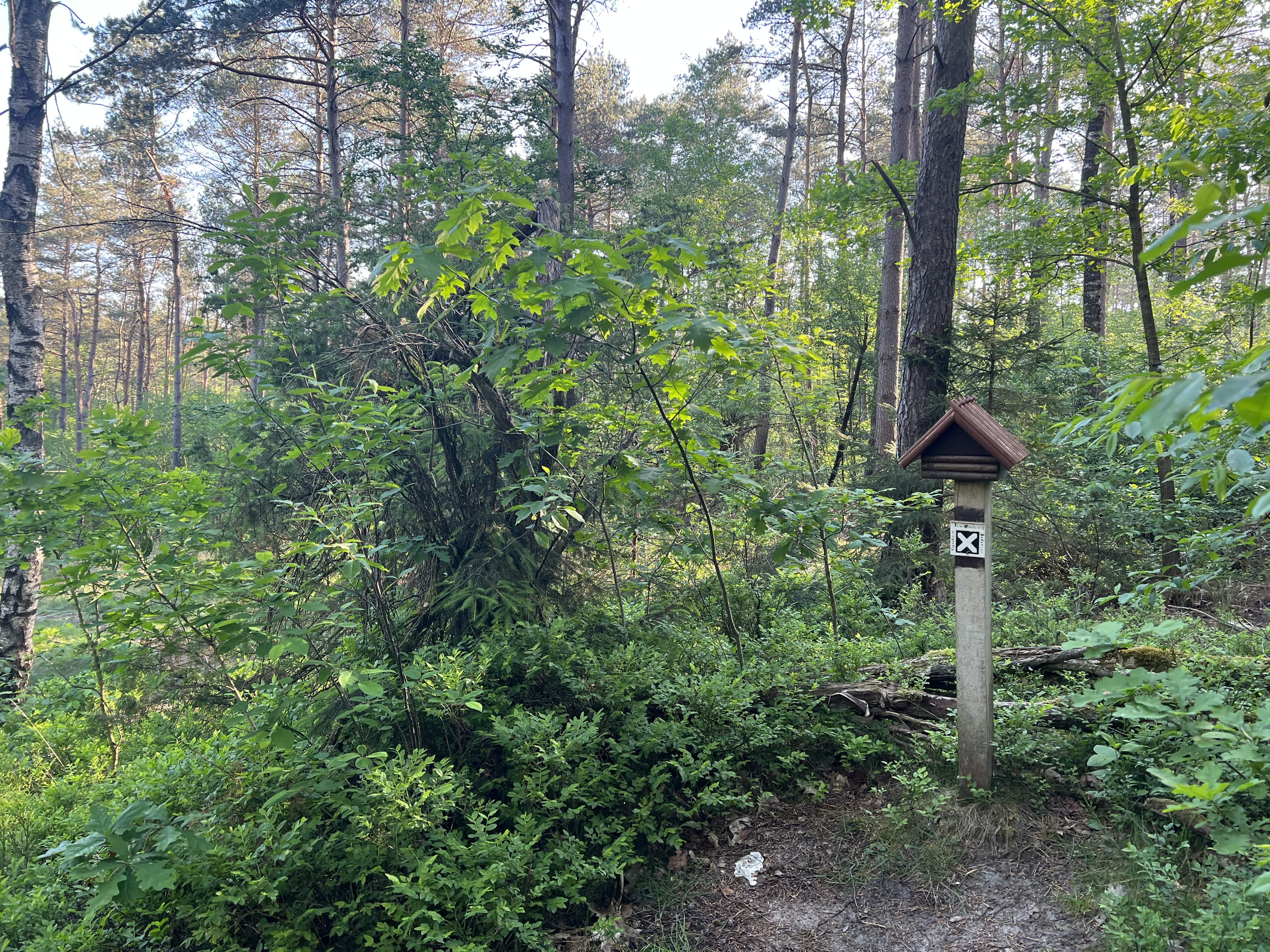 Stempelhäuschen Luhequelle (4)