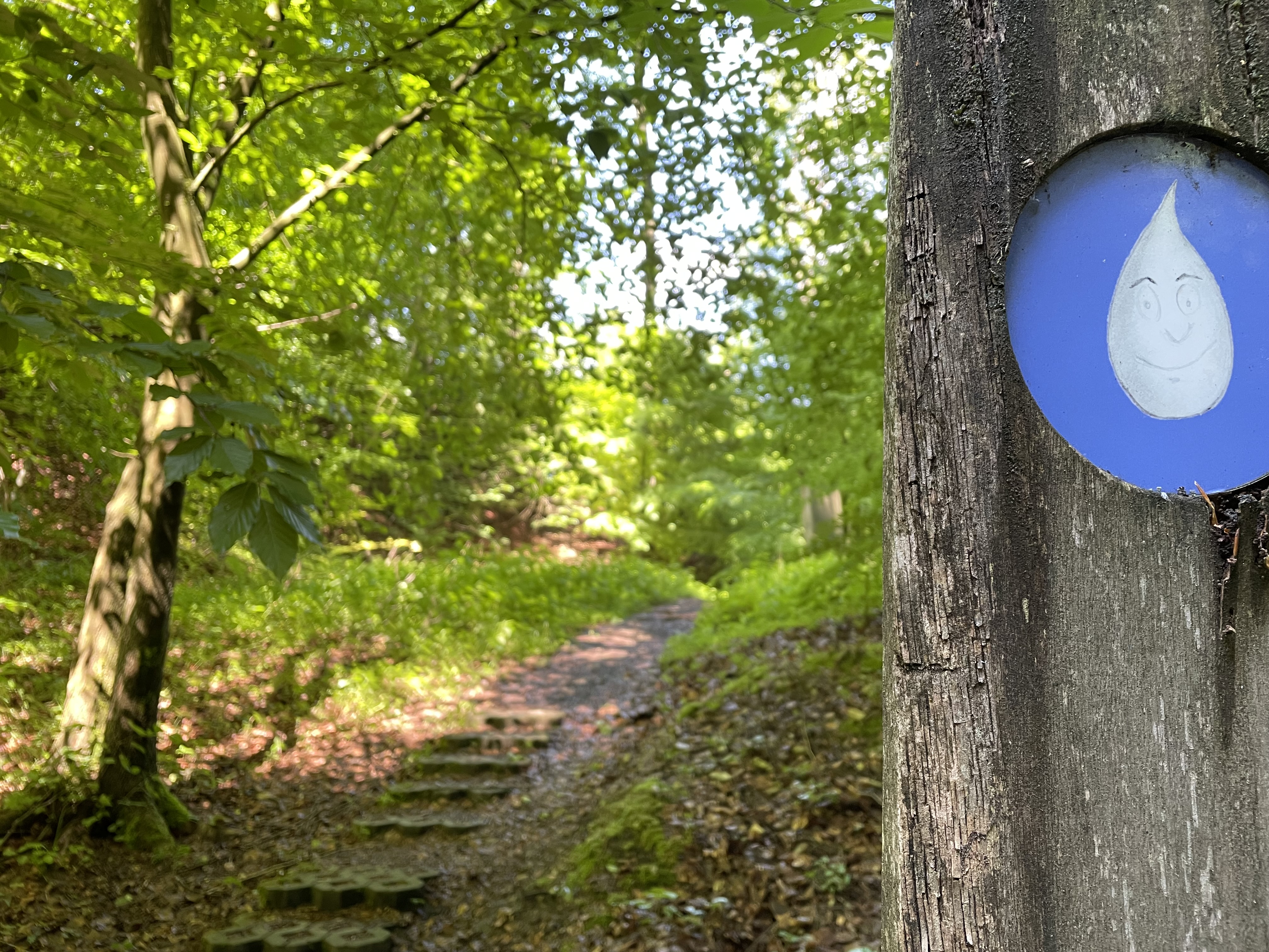 TERRA.track Karl Kalktropfen 