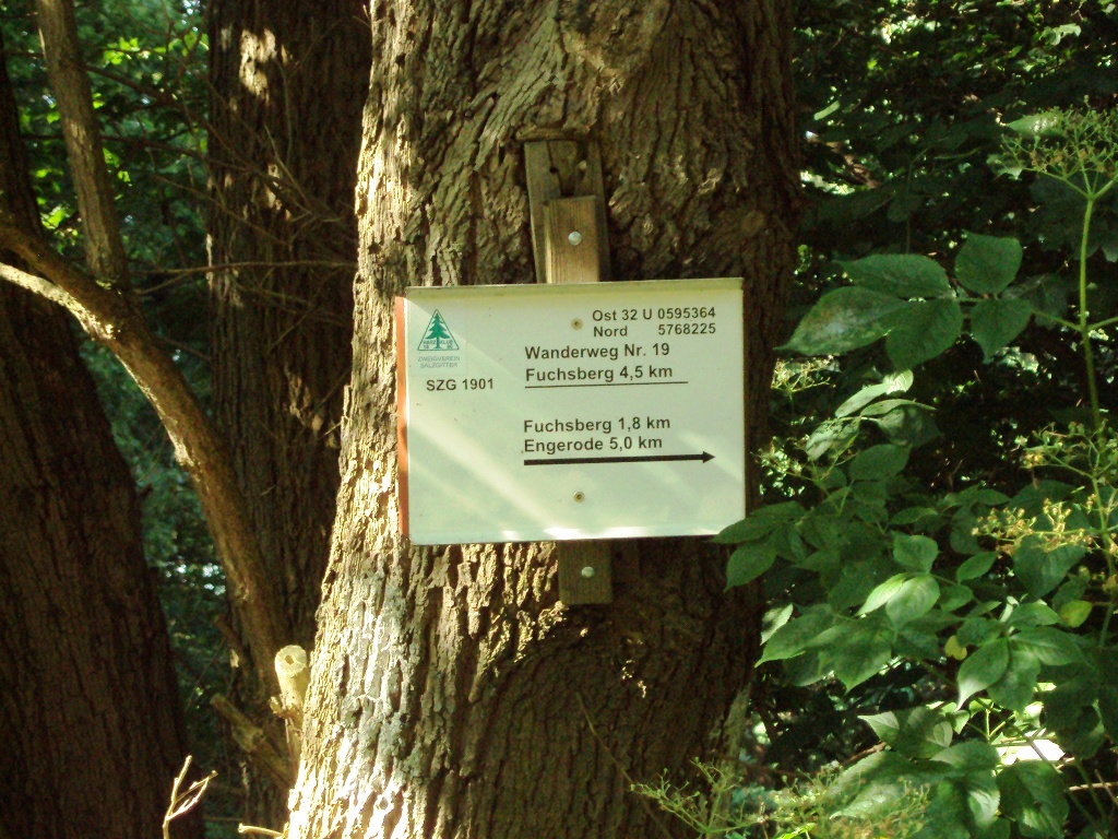 Salzgitter Wanderweg (Fuchsberg und Beinumer Wald)