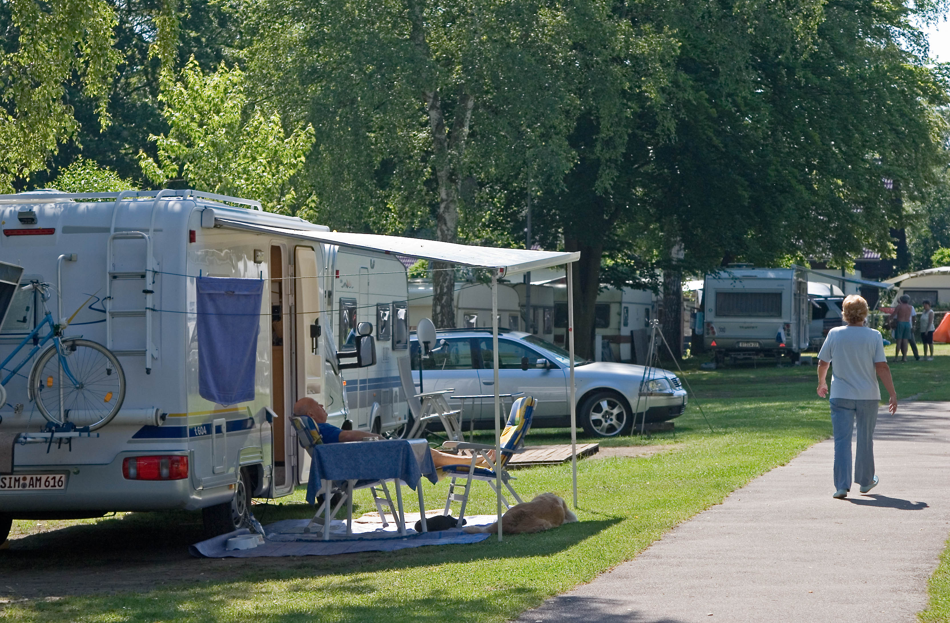 camper bett lngs ausziehbar Entdecke BRUNO: Ausziehbares Bett fr VW Bus und mehr