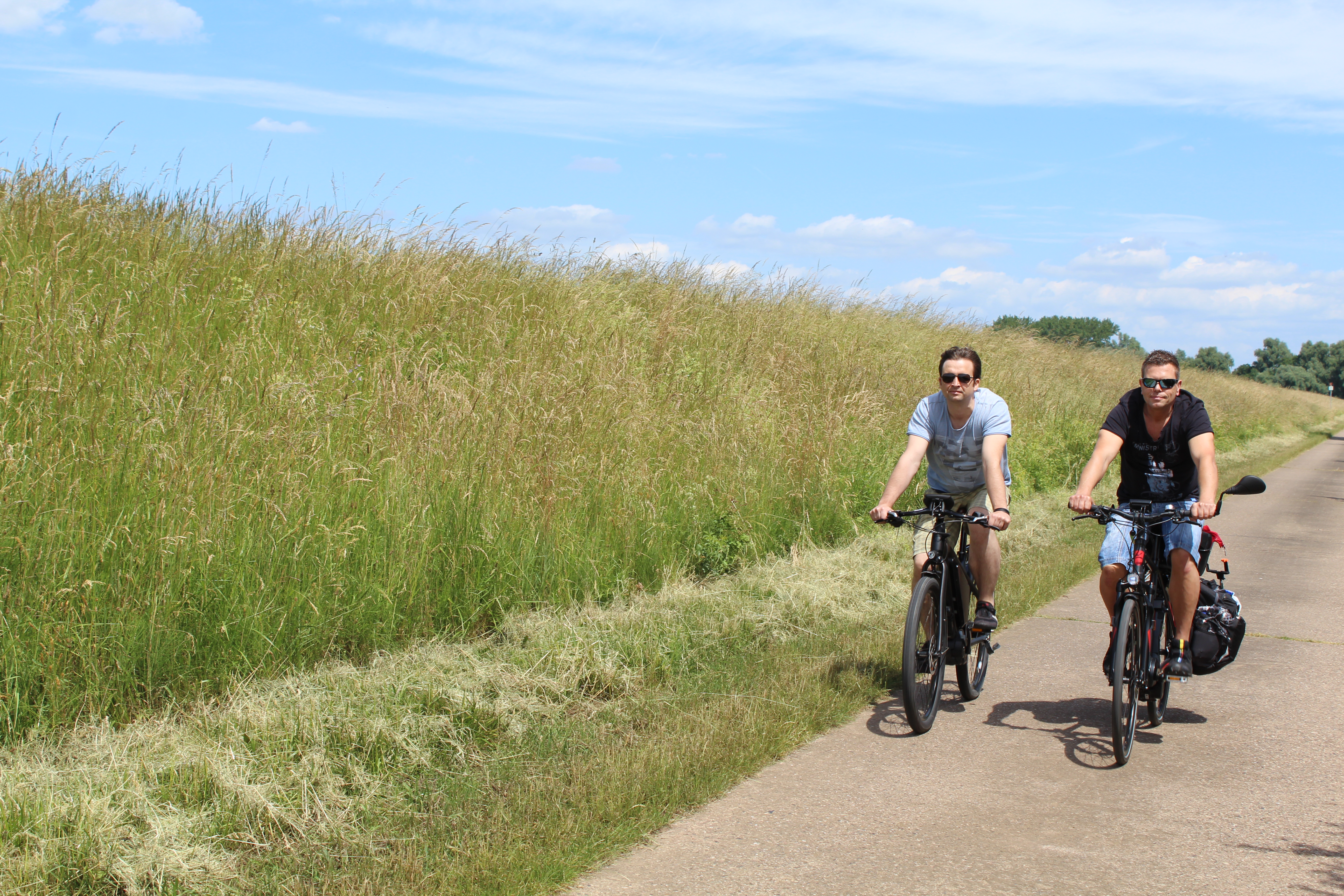Aller-Heide-Radweg