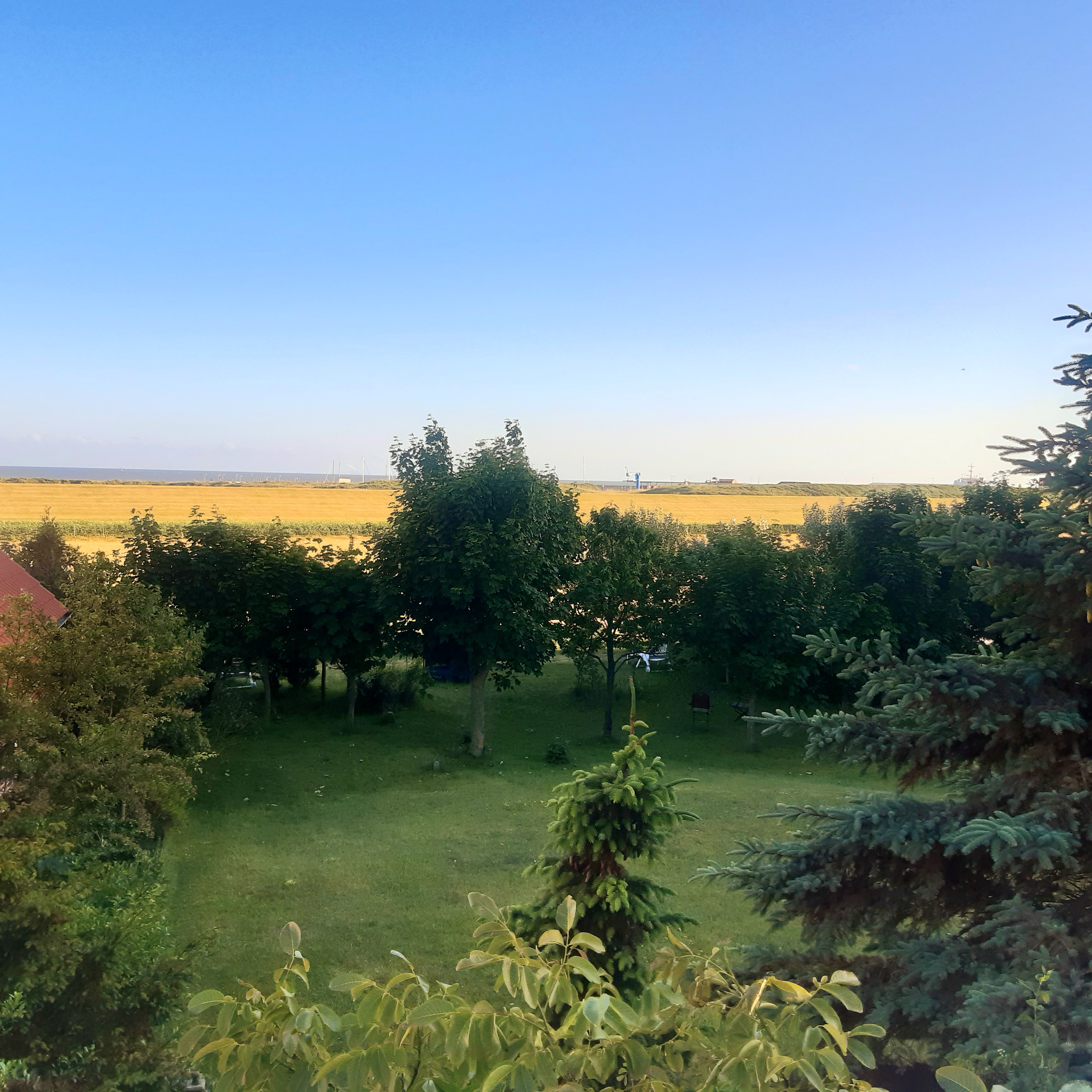 Blick-in-den-Garten-Haus-Katharina.jpg