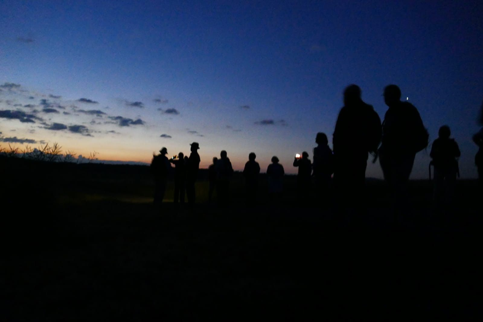 Wanderspaß für Nachtaktive