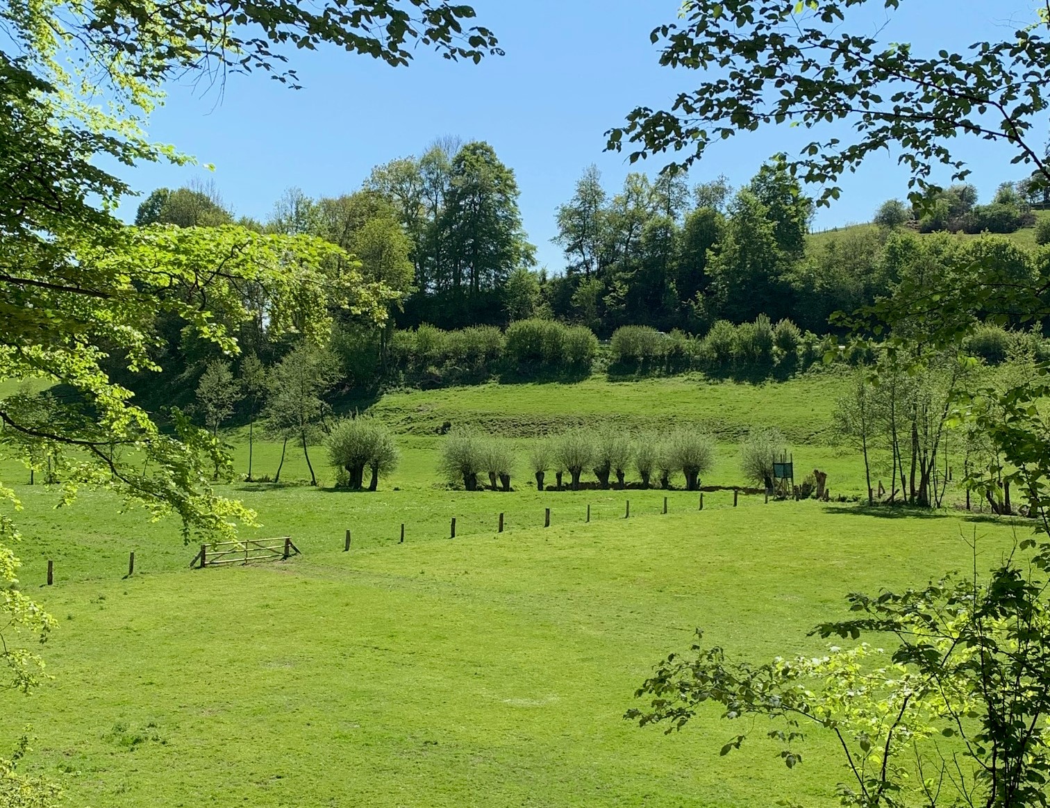 Feriendorf Natur pur, Brakel