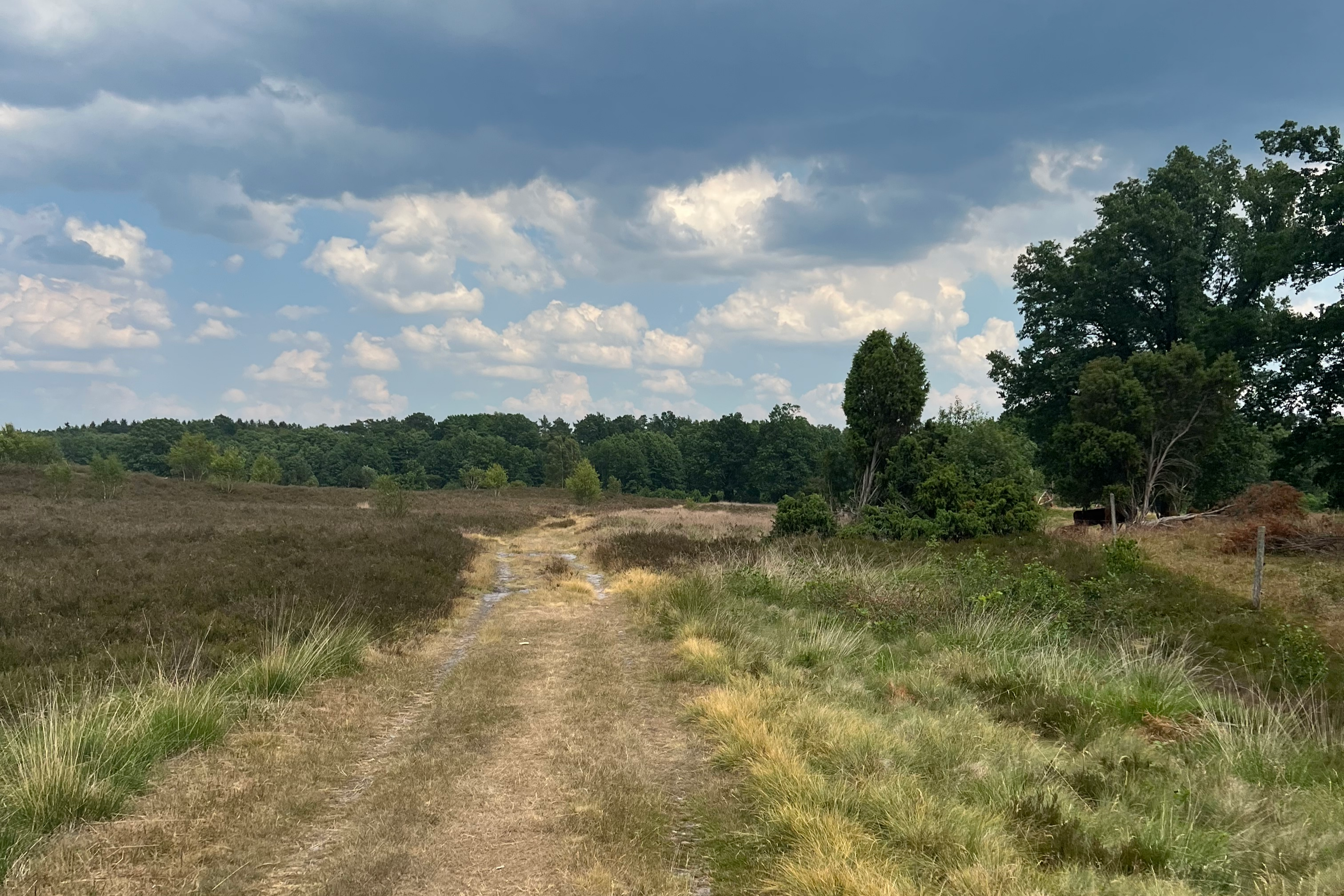 Stempelhäuschen Hörpler Heide (3)
