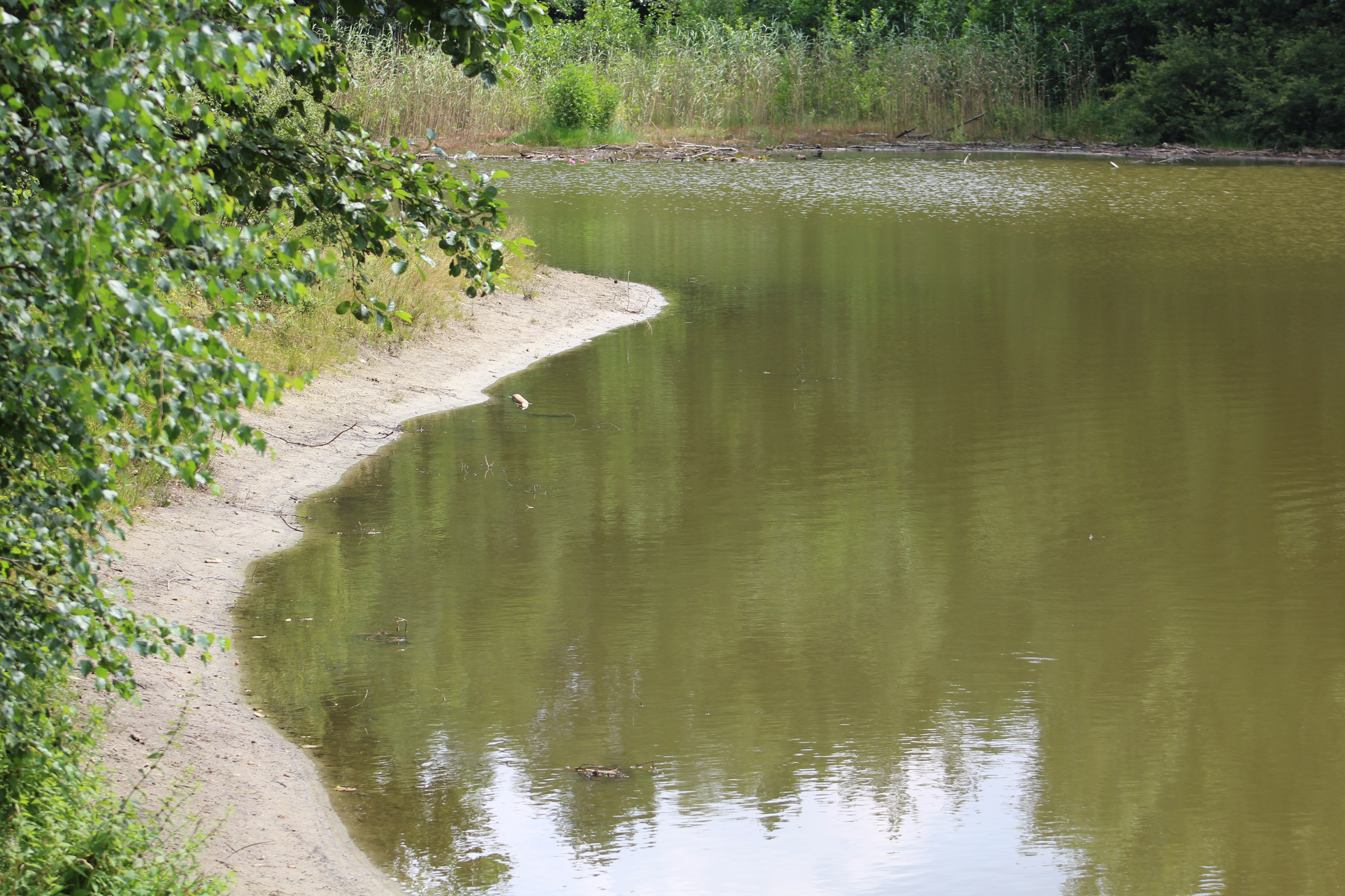 Stöckser See
