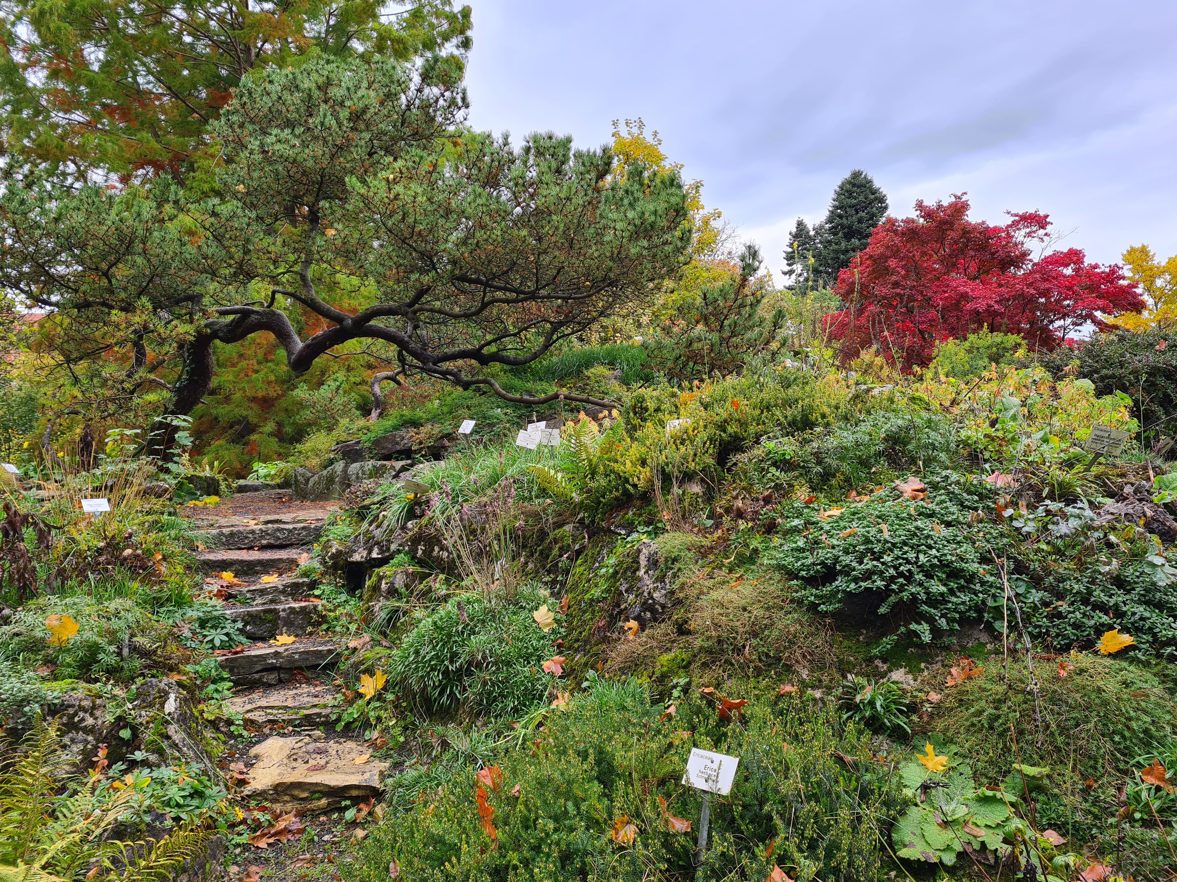 Alter Botanischer Garten
