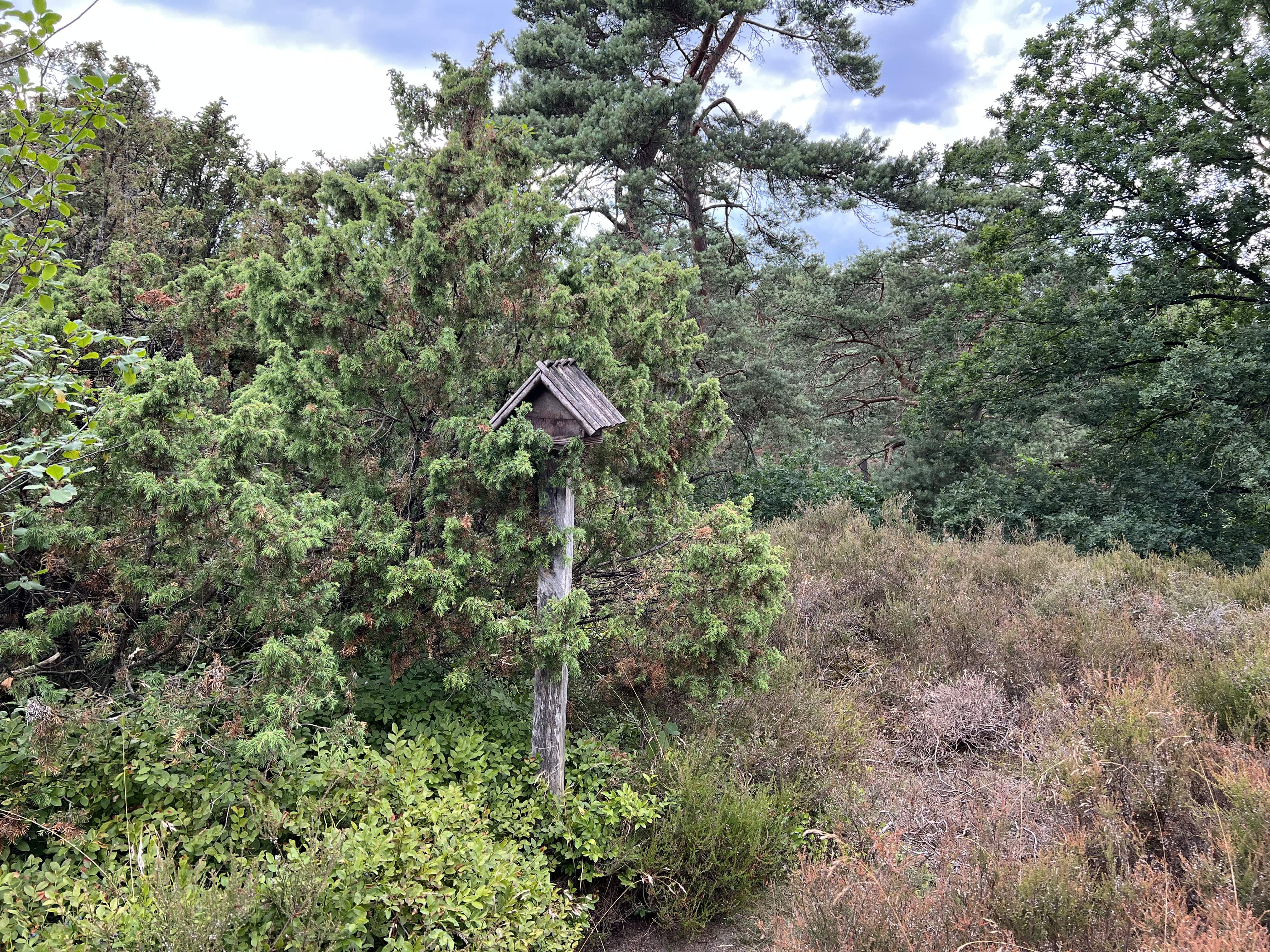 Stempelhäuschen Borsteler Kuhlen (10)
