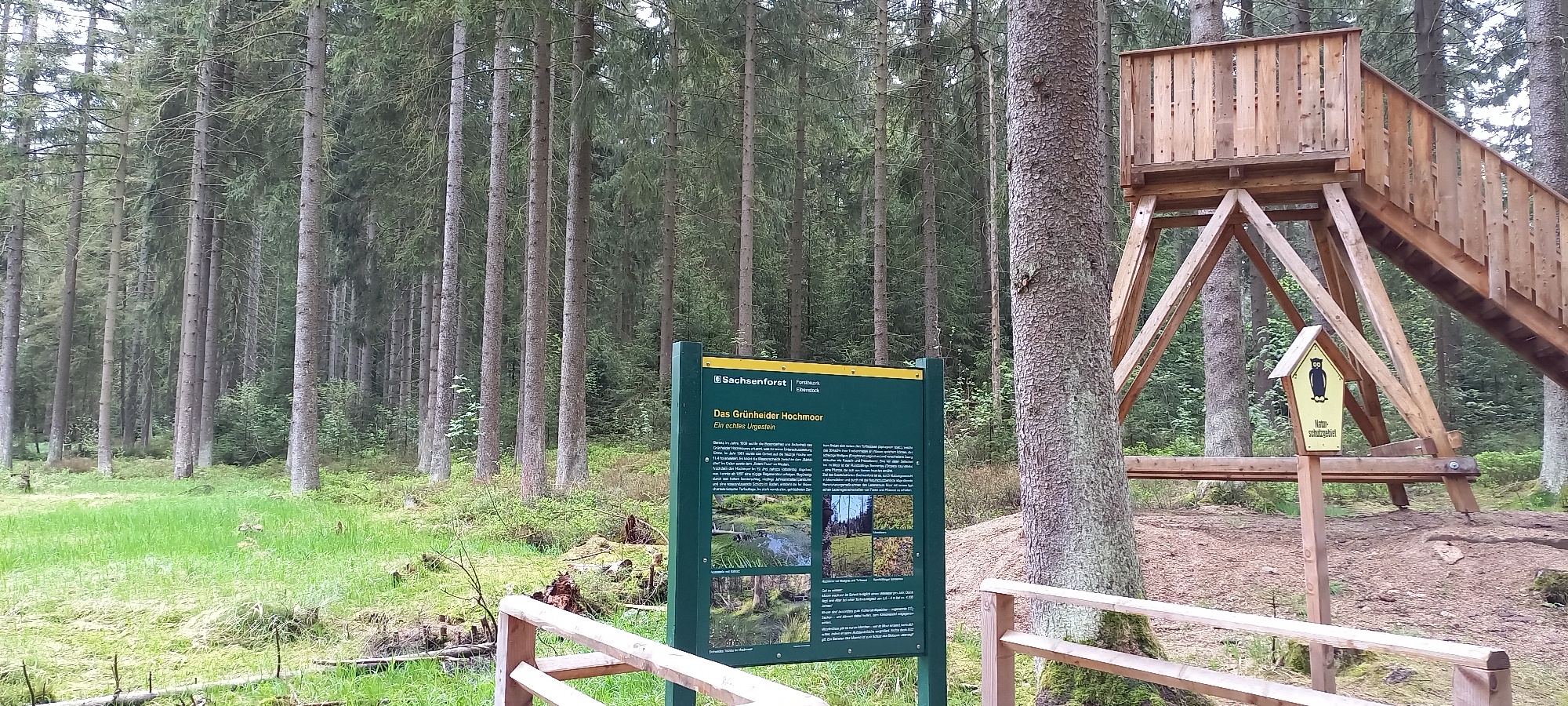 Waldpark Rundweg Grünheide – Motiv