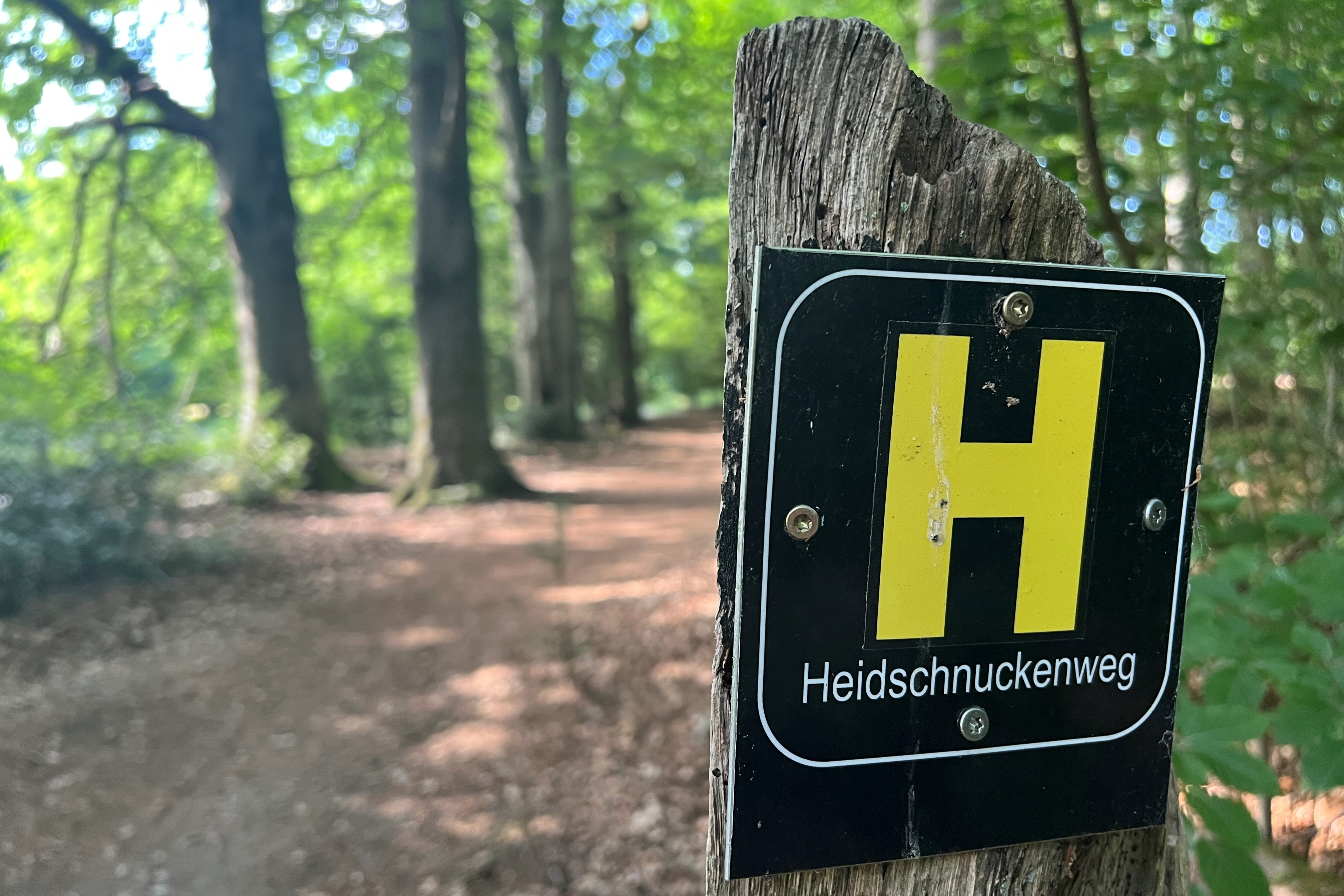Niederhaverbeck - Schneverdingen - Bispingen (21 km) "Variante zu Etappe 5"