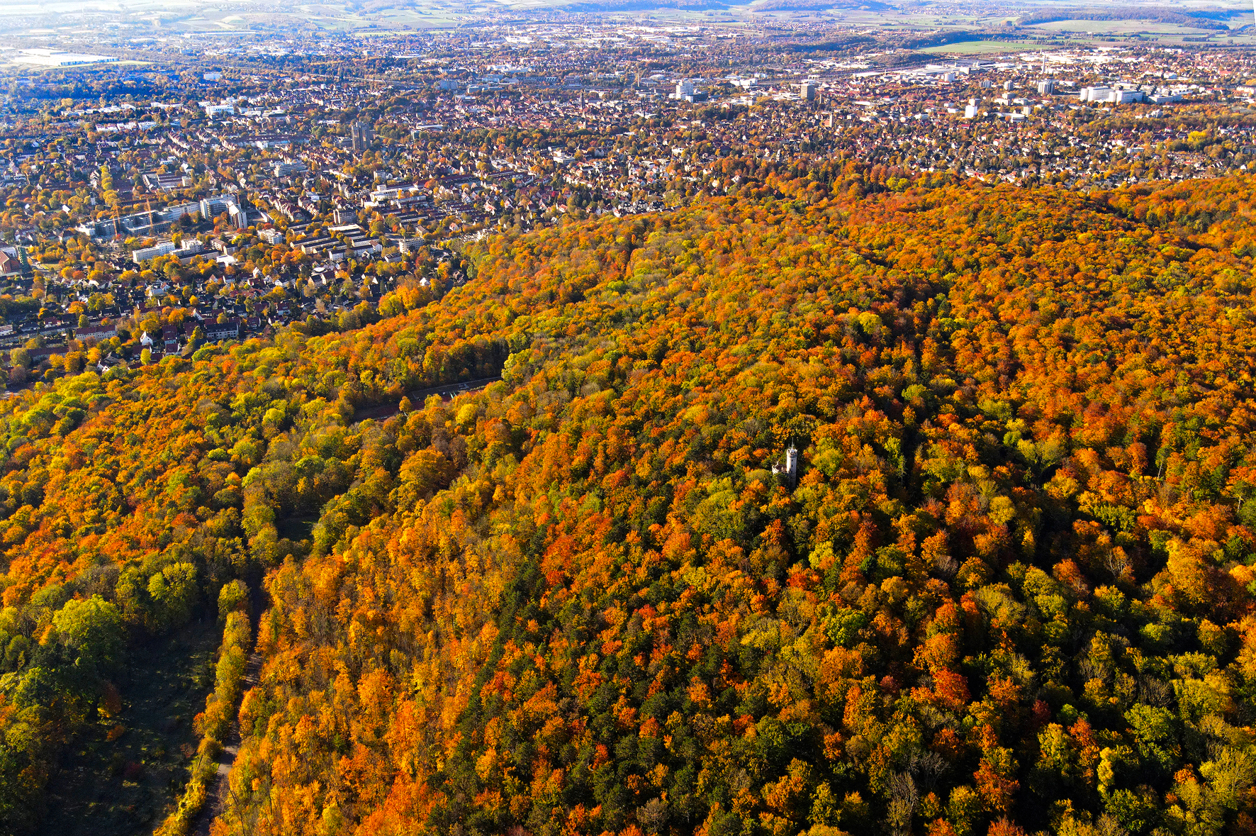 Stadtwald auf dem Hainberg