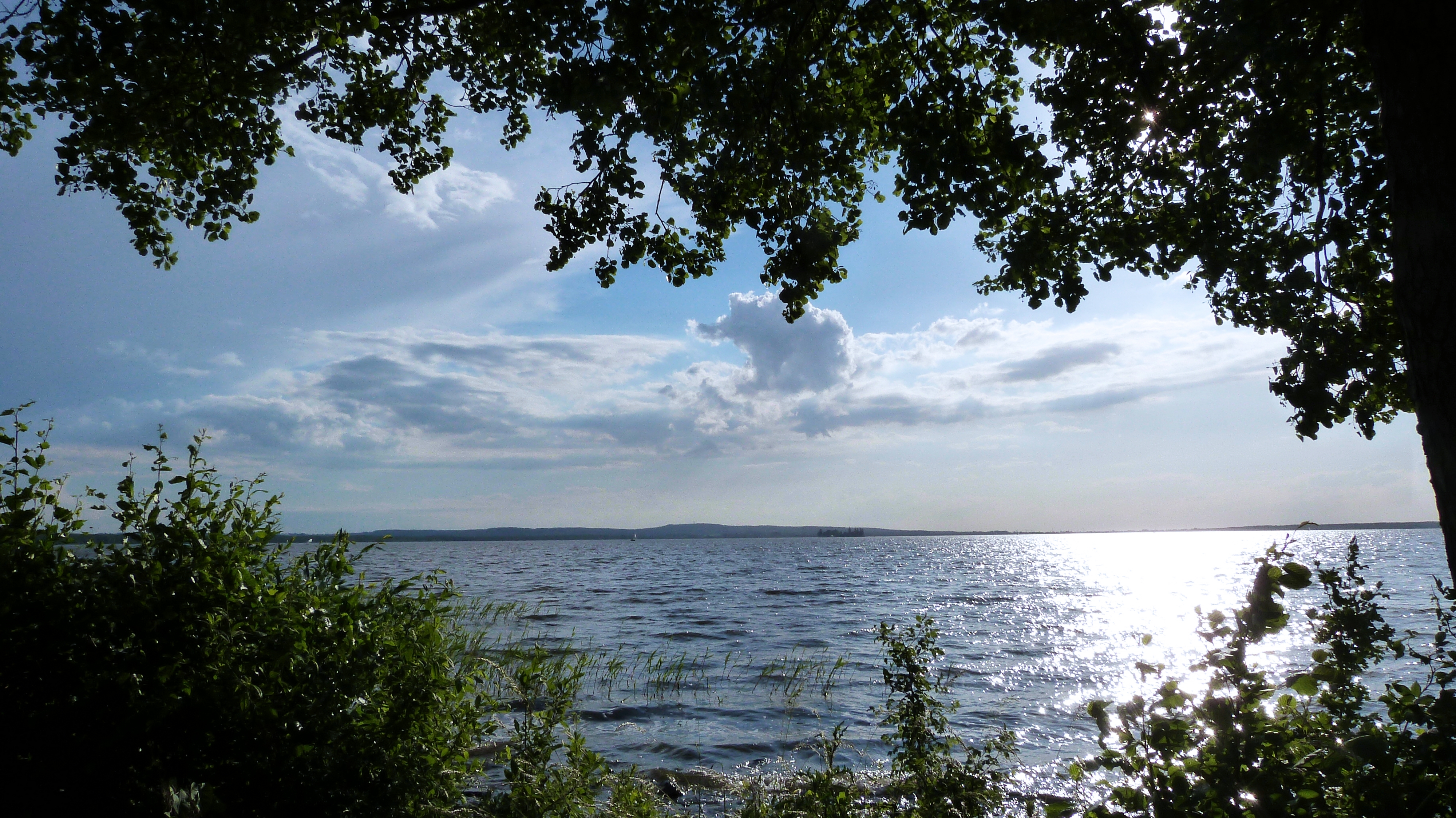 Steinhuder Meer