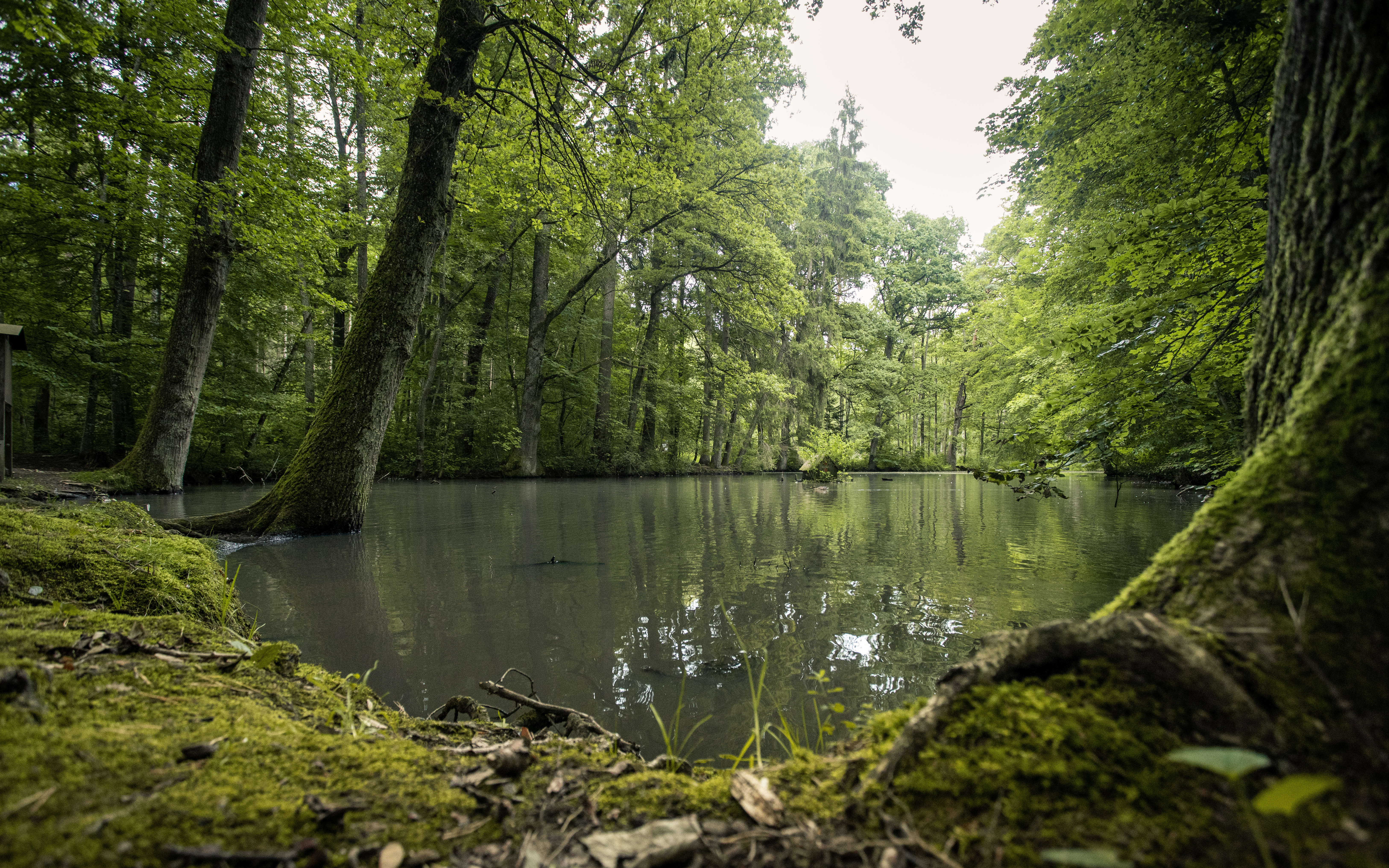 2021-08-27 Neue Broschüre Stadt Weissenhorn-002.jpg