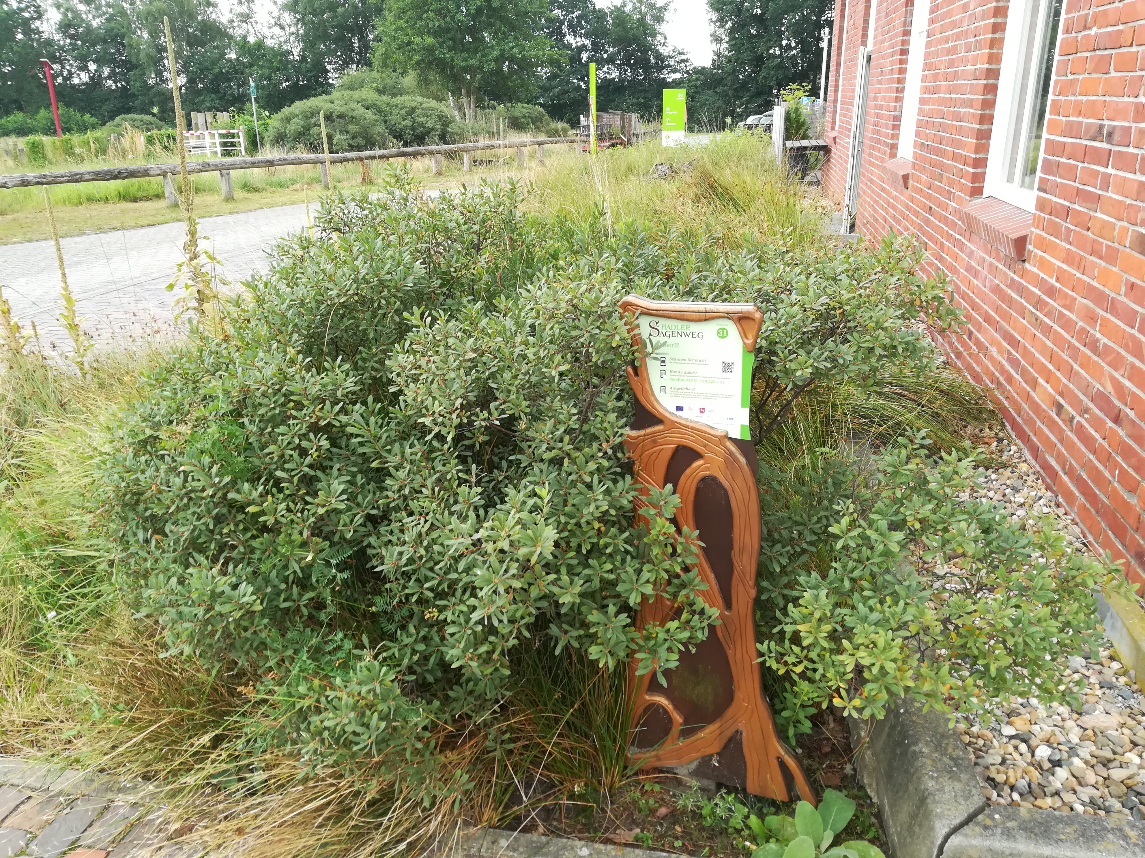 MoorIZ - Hadler Sagenweg