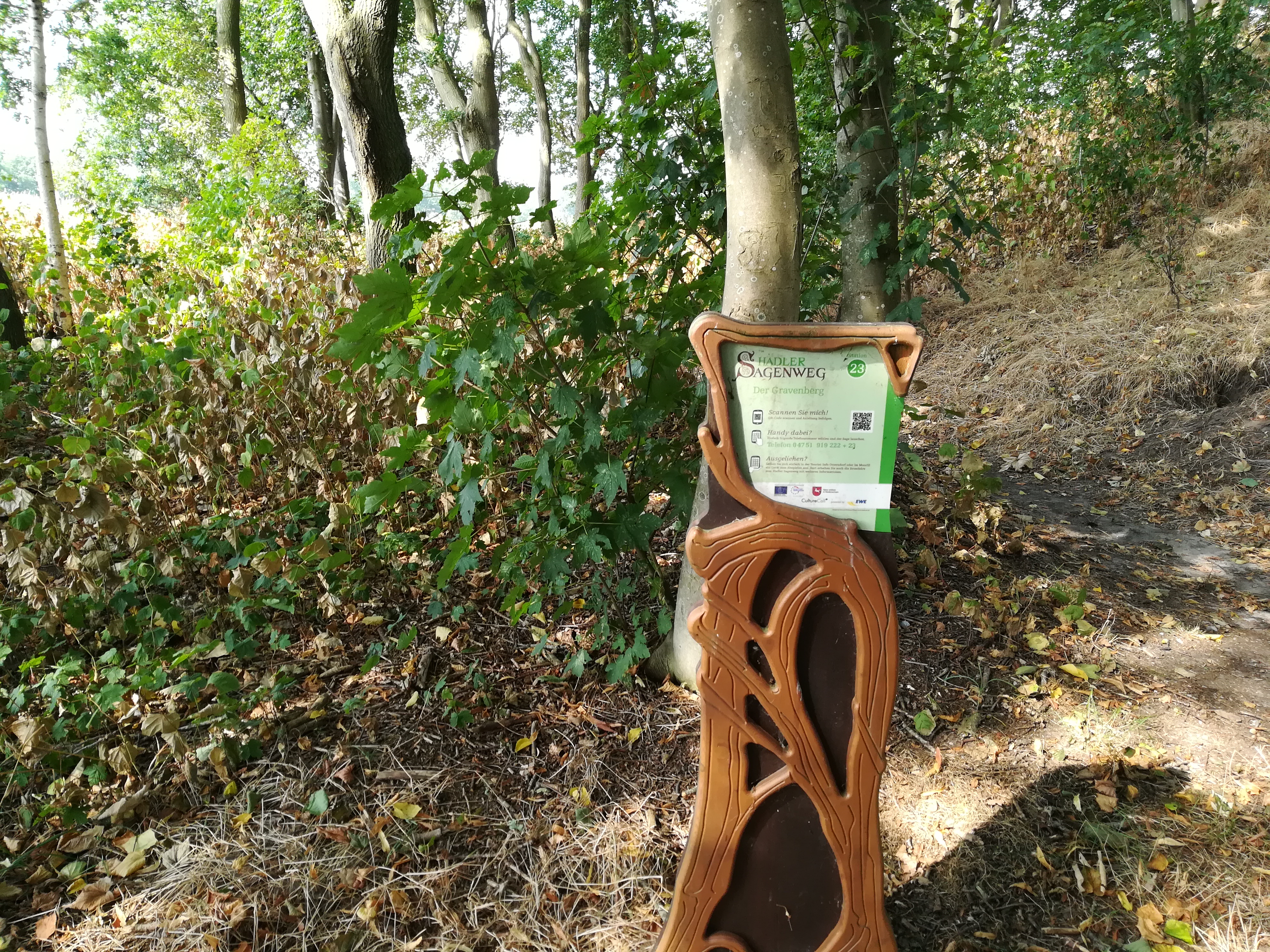 Der Gravenberg - Hadler Sagenweg
