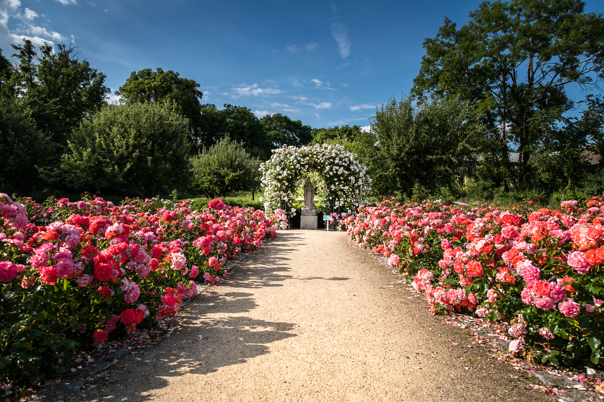 Magdalenengarten 