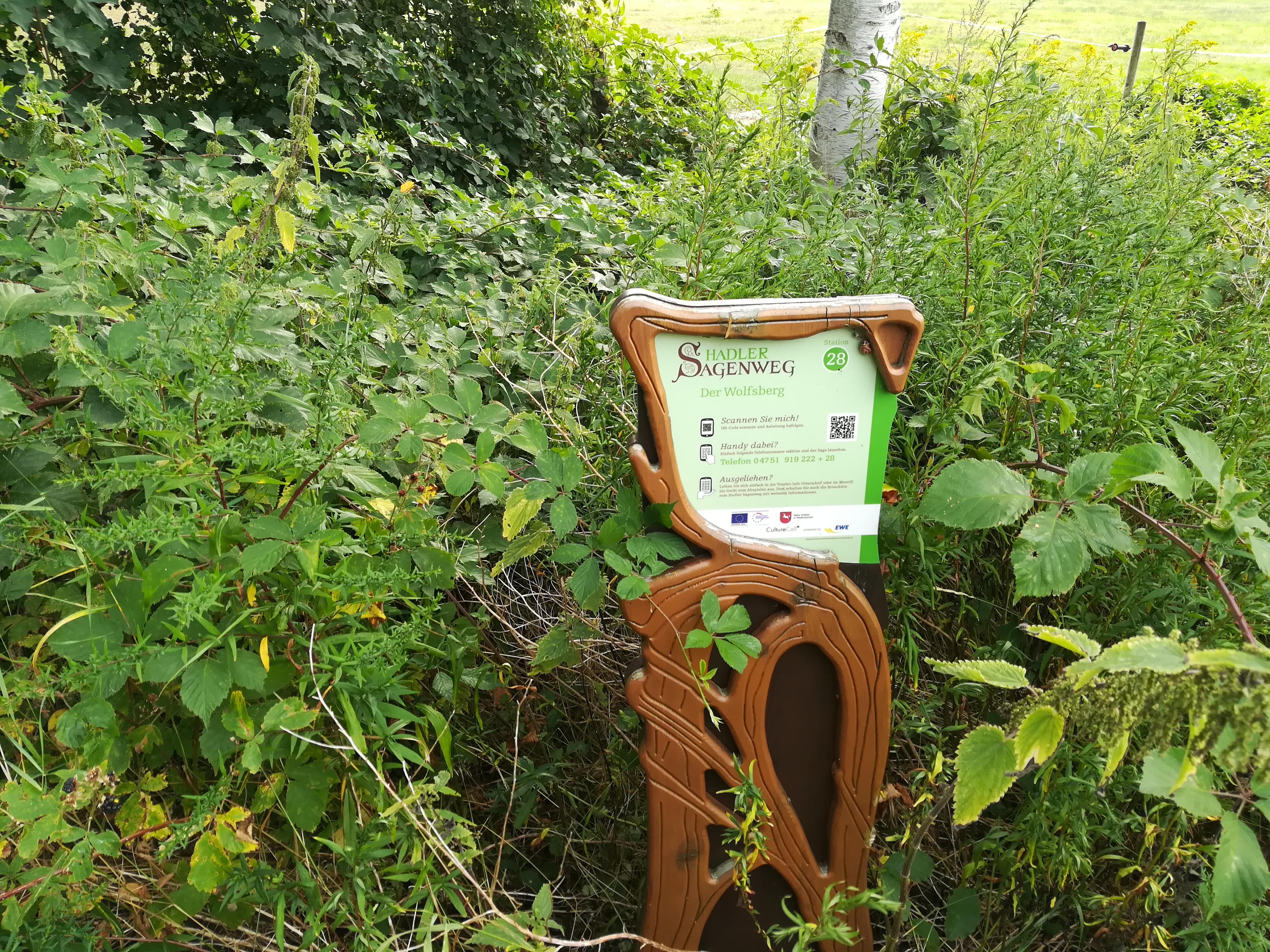 Der Wolfsberg - Hadler Sagenweg