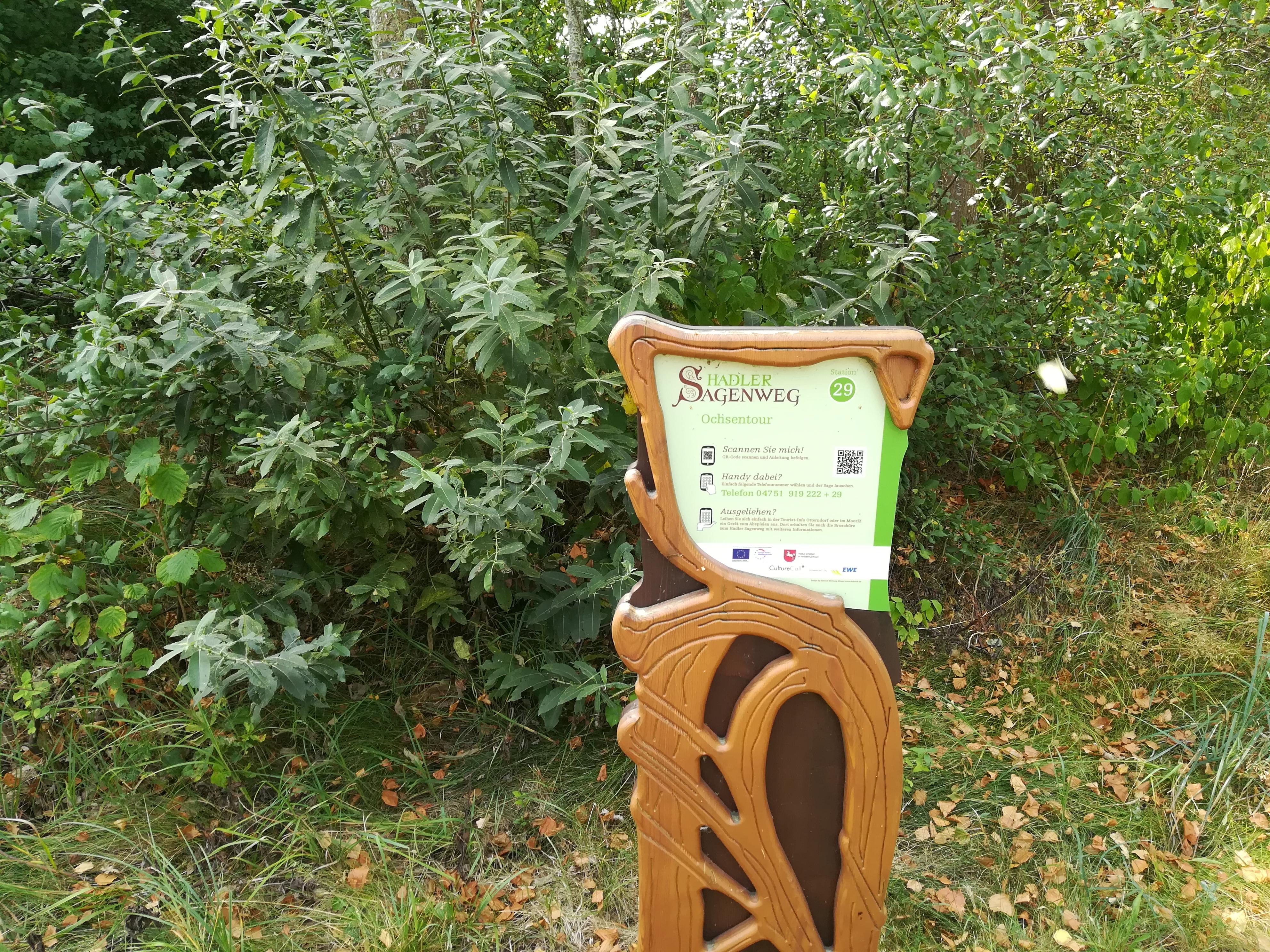 Ochsentour - Hadler Sagenweg