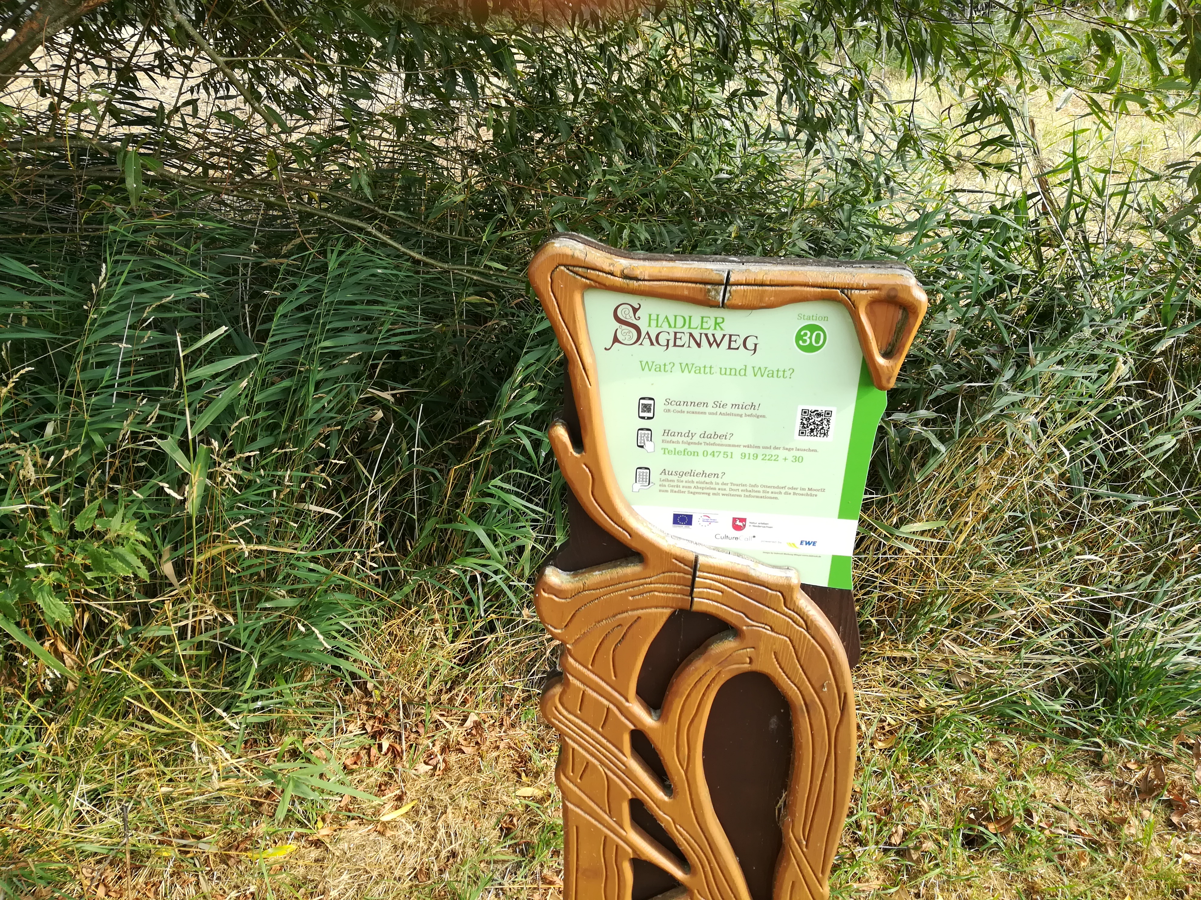 Wat? Watt und Watt? - Hadler Sagenweg