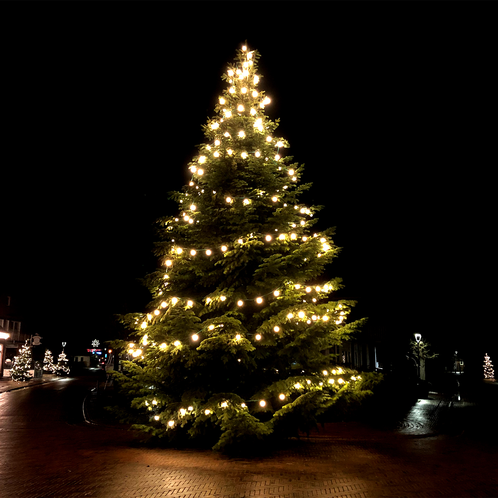2019-11-29-Dorf-Weihnachtsbaum-©tzspo-8b.jpg
