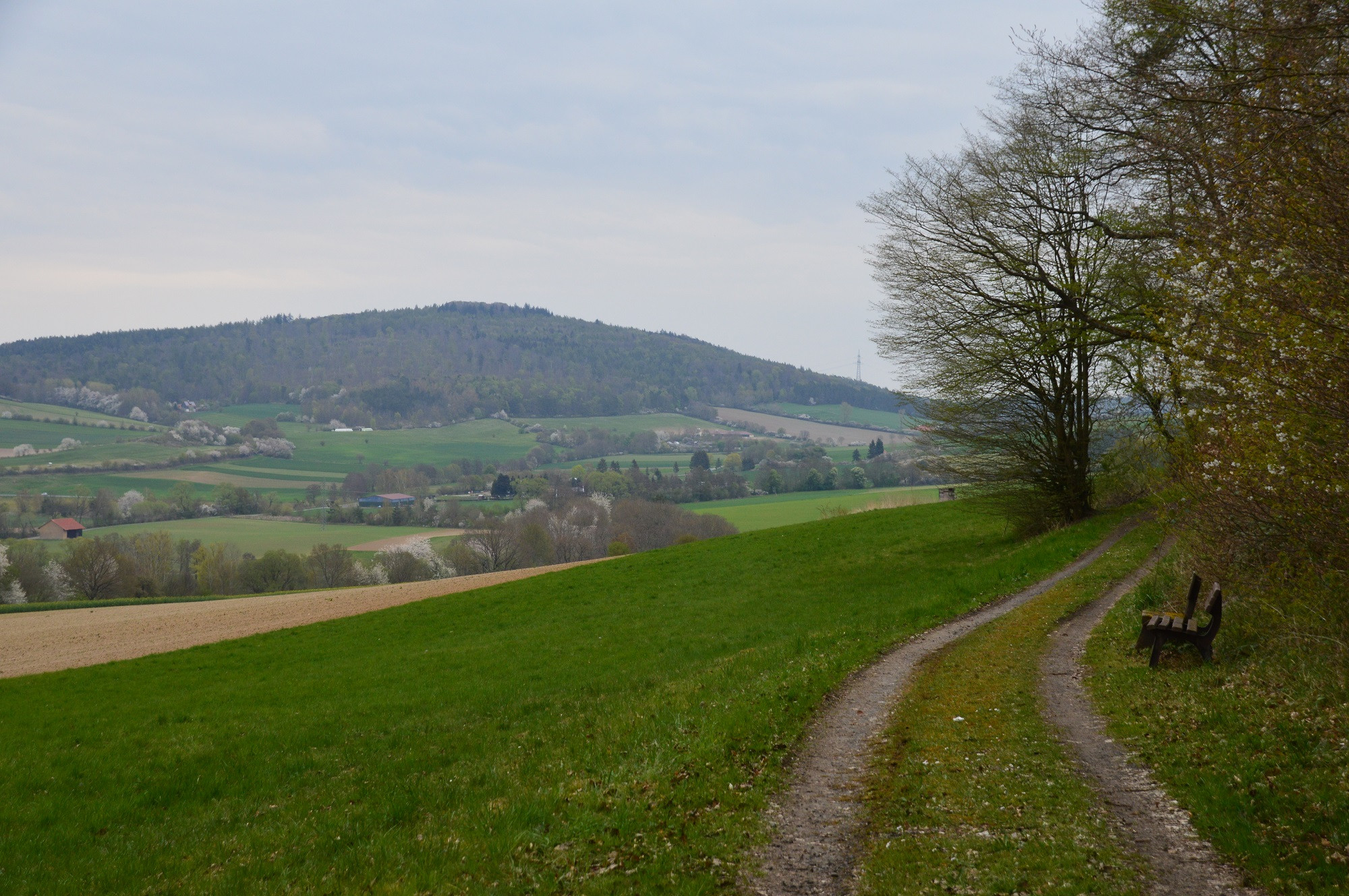 Blick Richtung Beisenberg