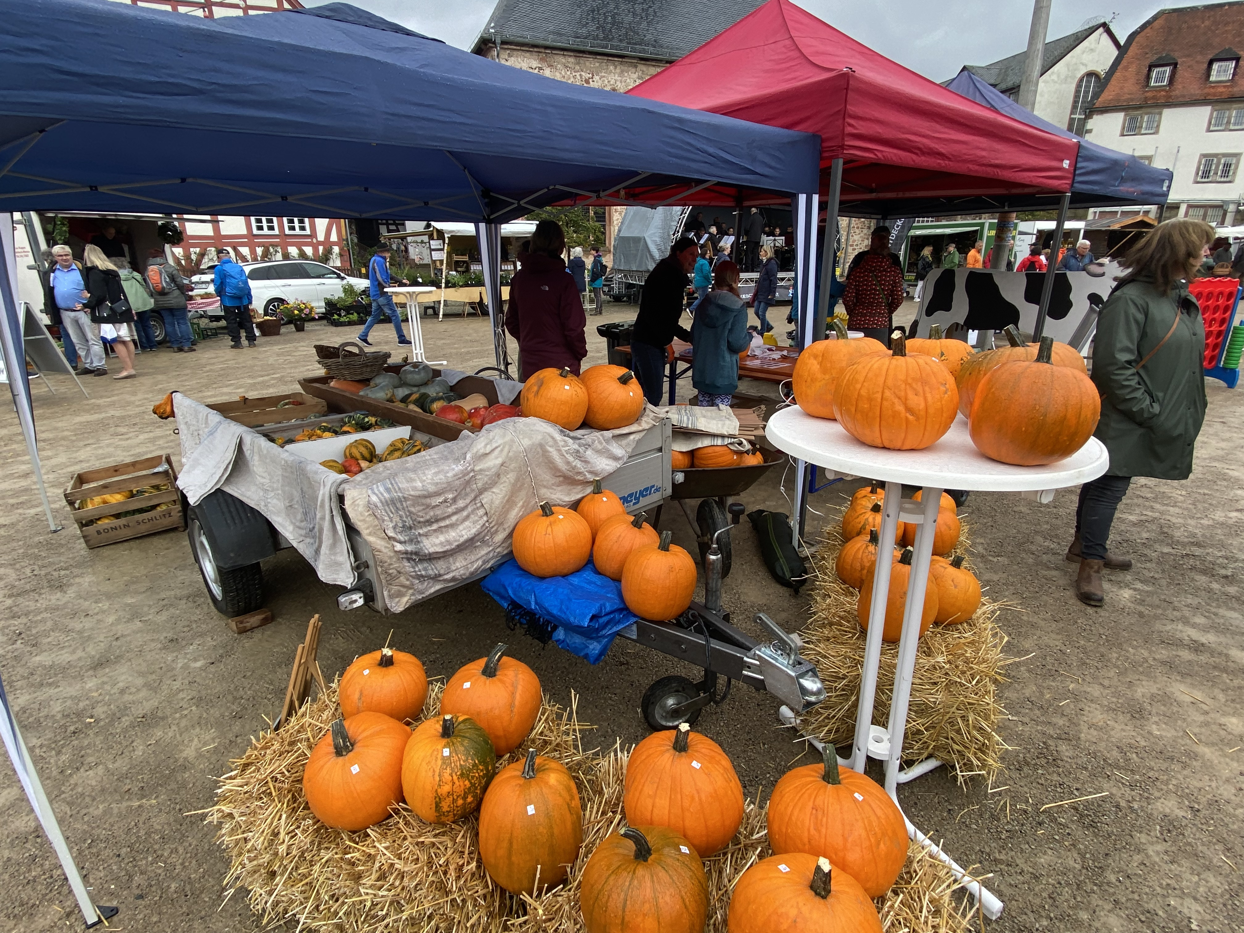 Bauernmarkt Schwalmstadt Ziegenhain