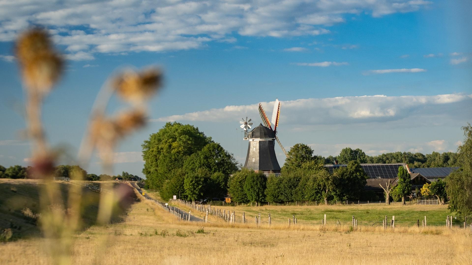 Windmühle Aschwarden