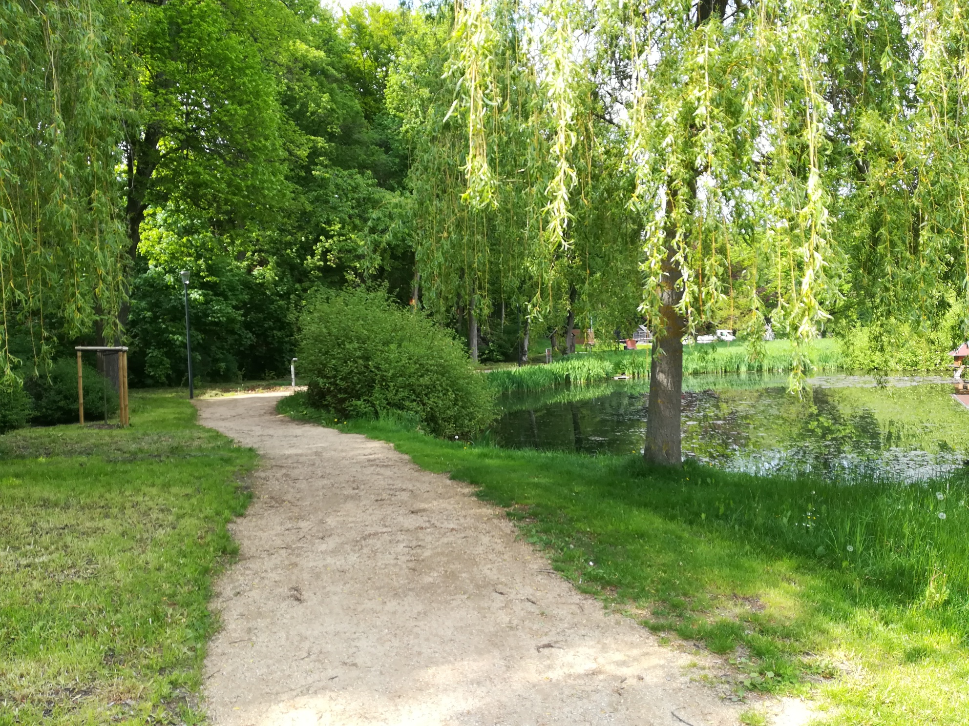 Ellefelder Park – Motiv