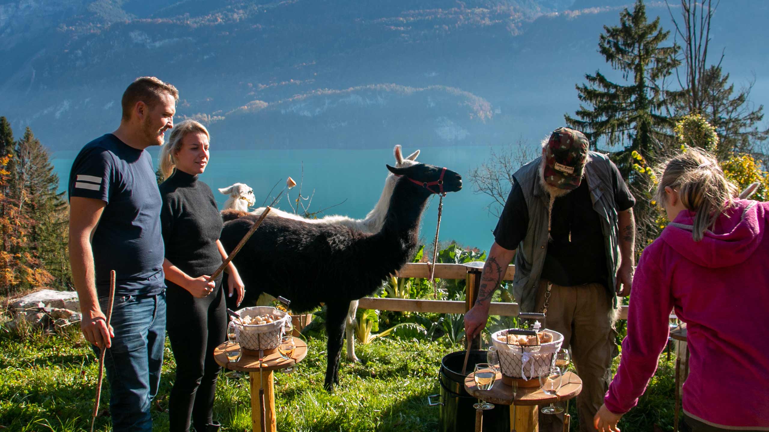 Llama Ranch Brienz