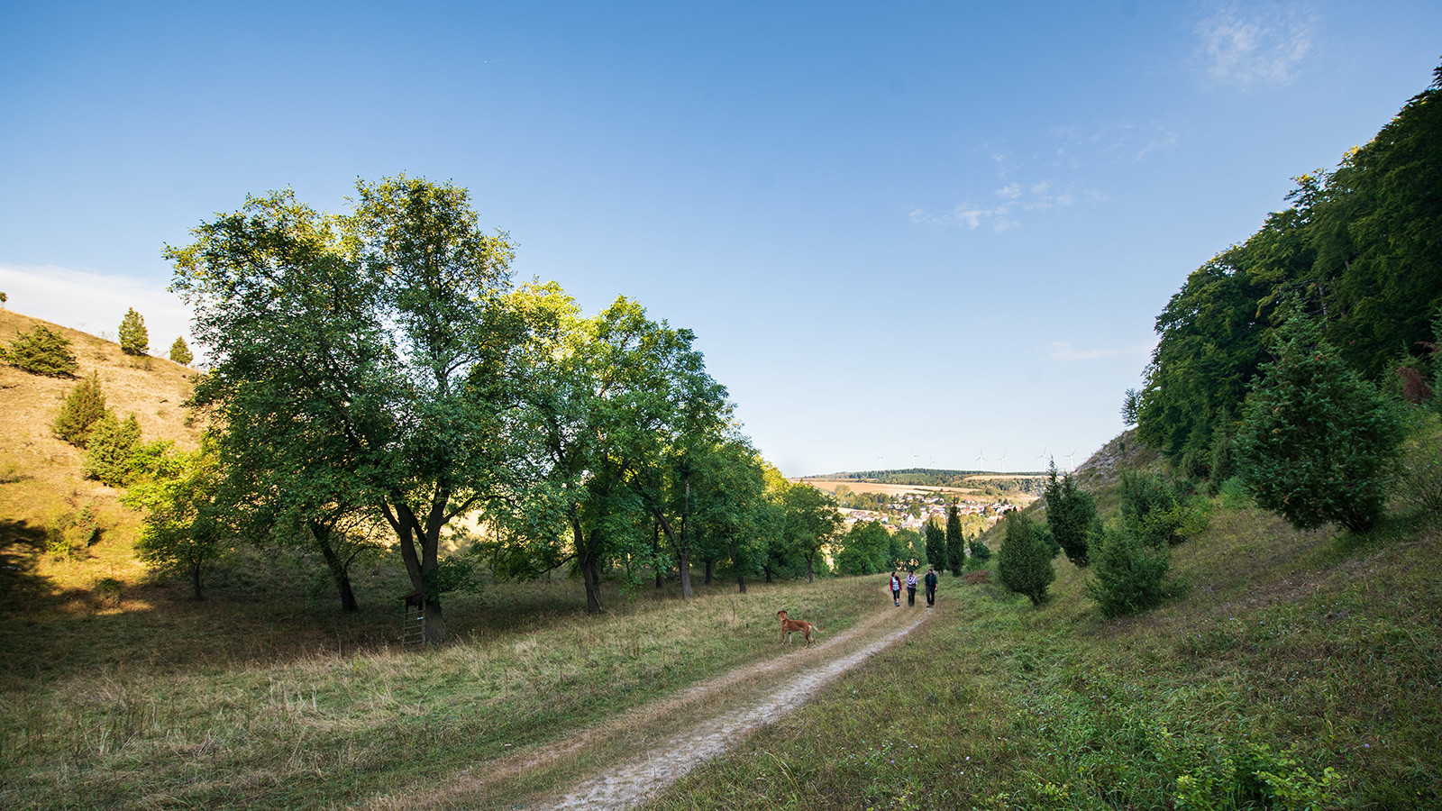 Weg zu den Eberschützer Klippen