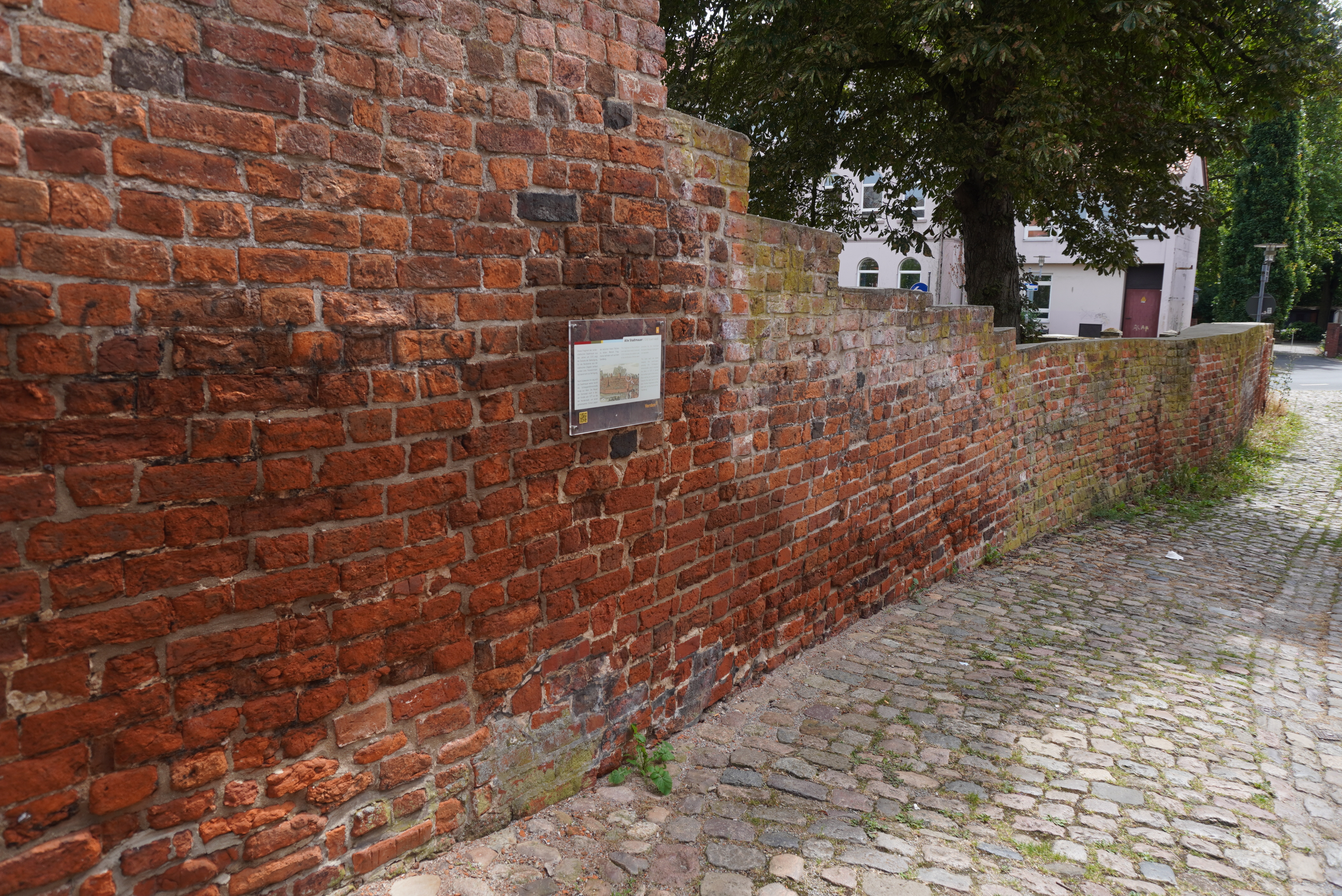 Alte Stadtmauer Sandberg