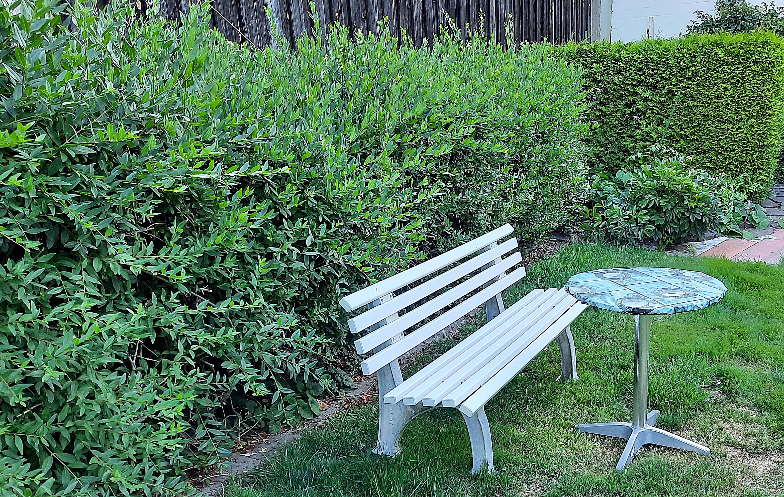Ferienwohnung Dreyer Sitzplatz in der Sonne