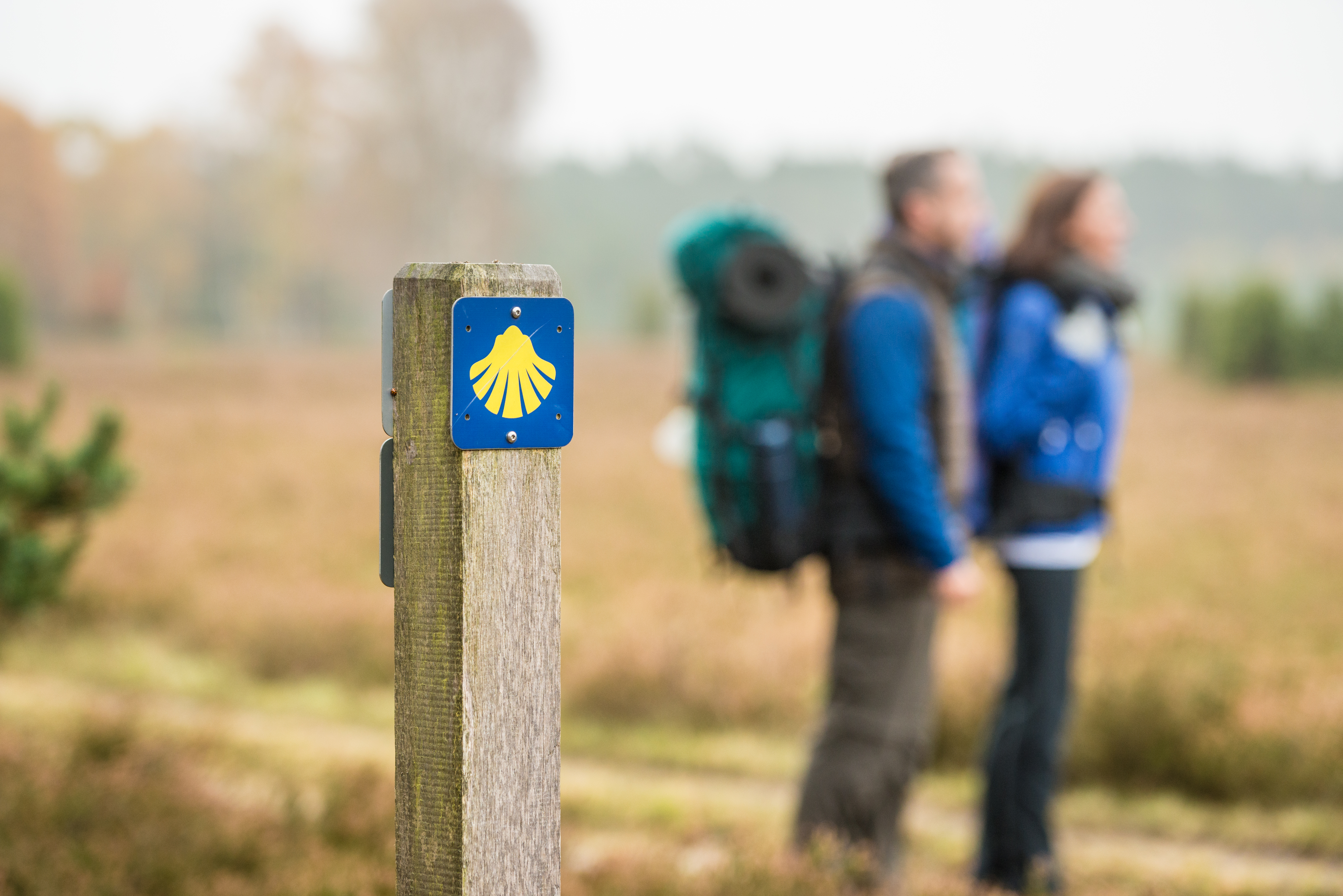 Jacobusweg Etappe 17: Wegverlauf Naturpark Südheide - Celle bis Winsen (Aller)