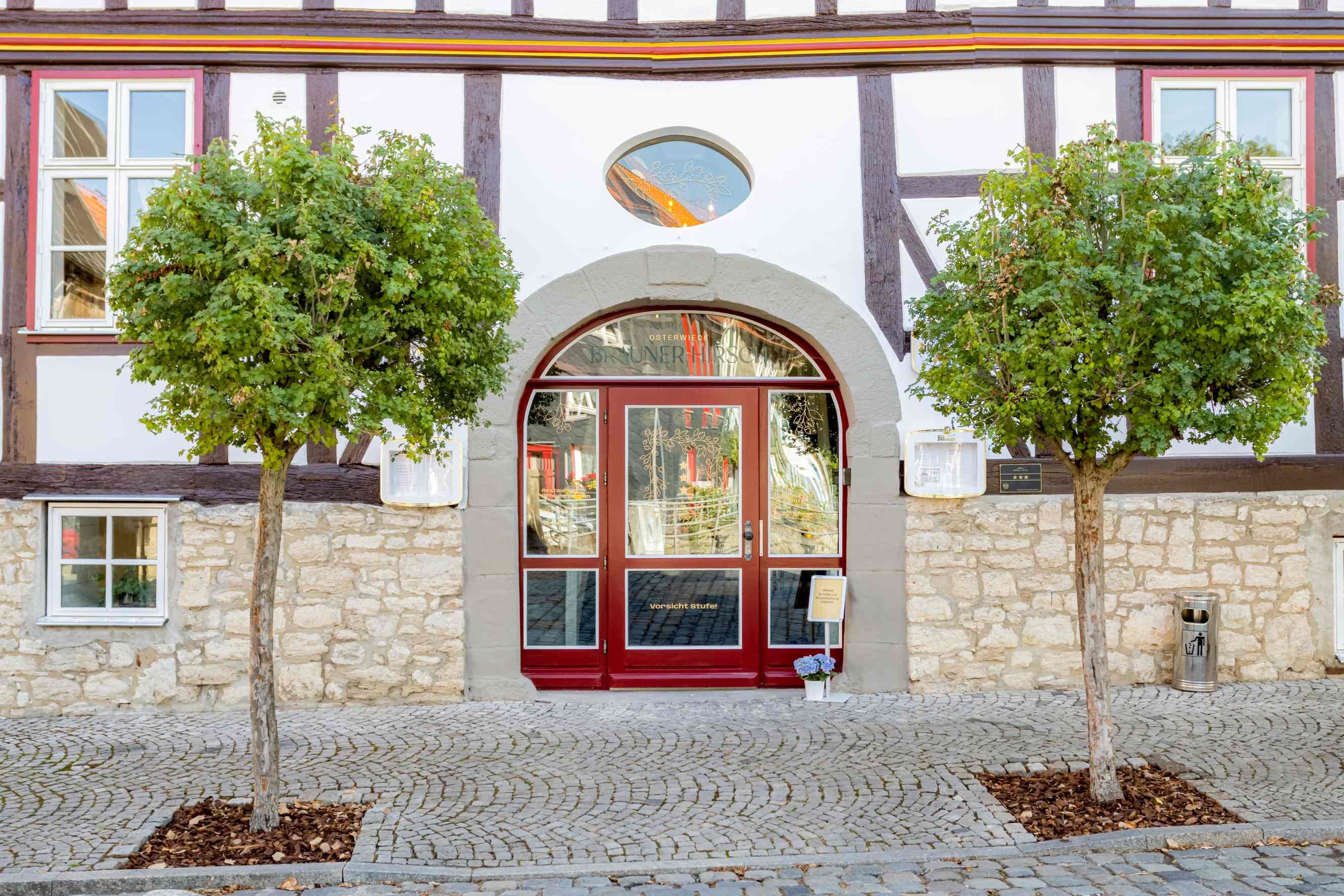 Brauner Hirsch in Osterwieck - Eingang