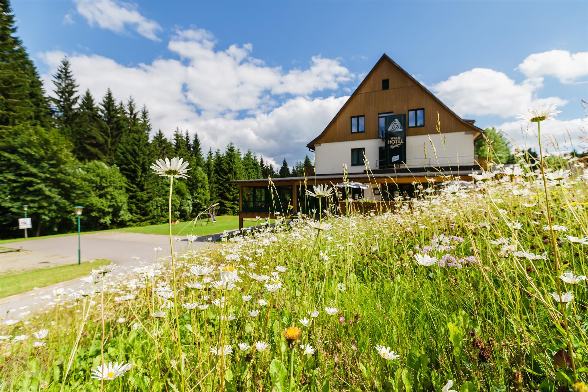 Waldhotel Vogtland – Motiv