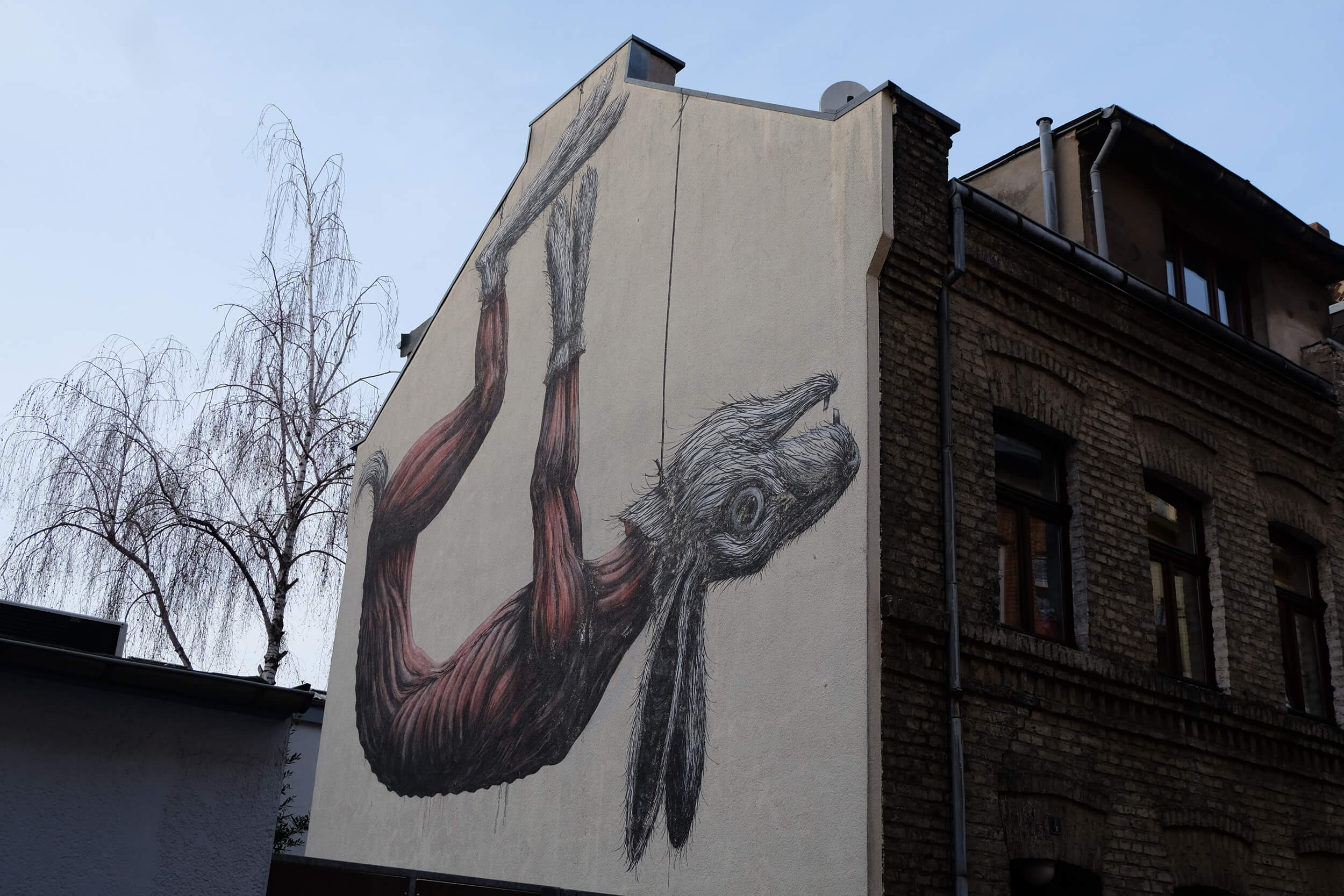 Gehäuteter Hase von ROA: Urbane Kunst in Köln