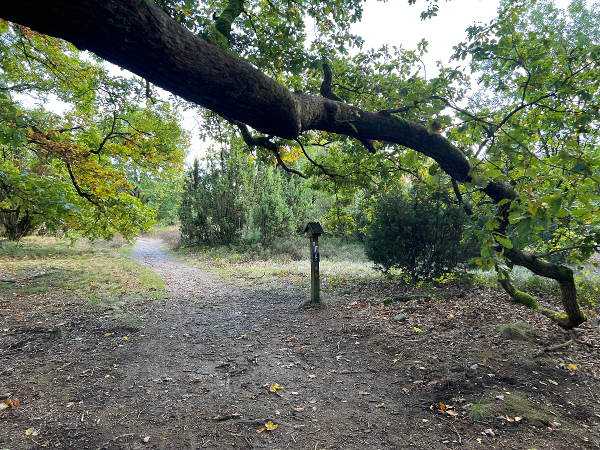 Stempelhäuschen Wümmeberg (19)