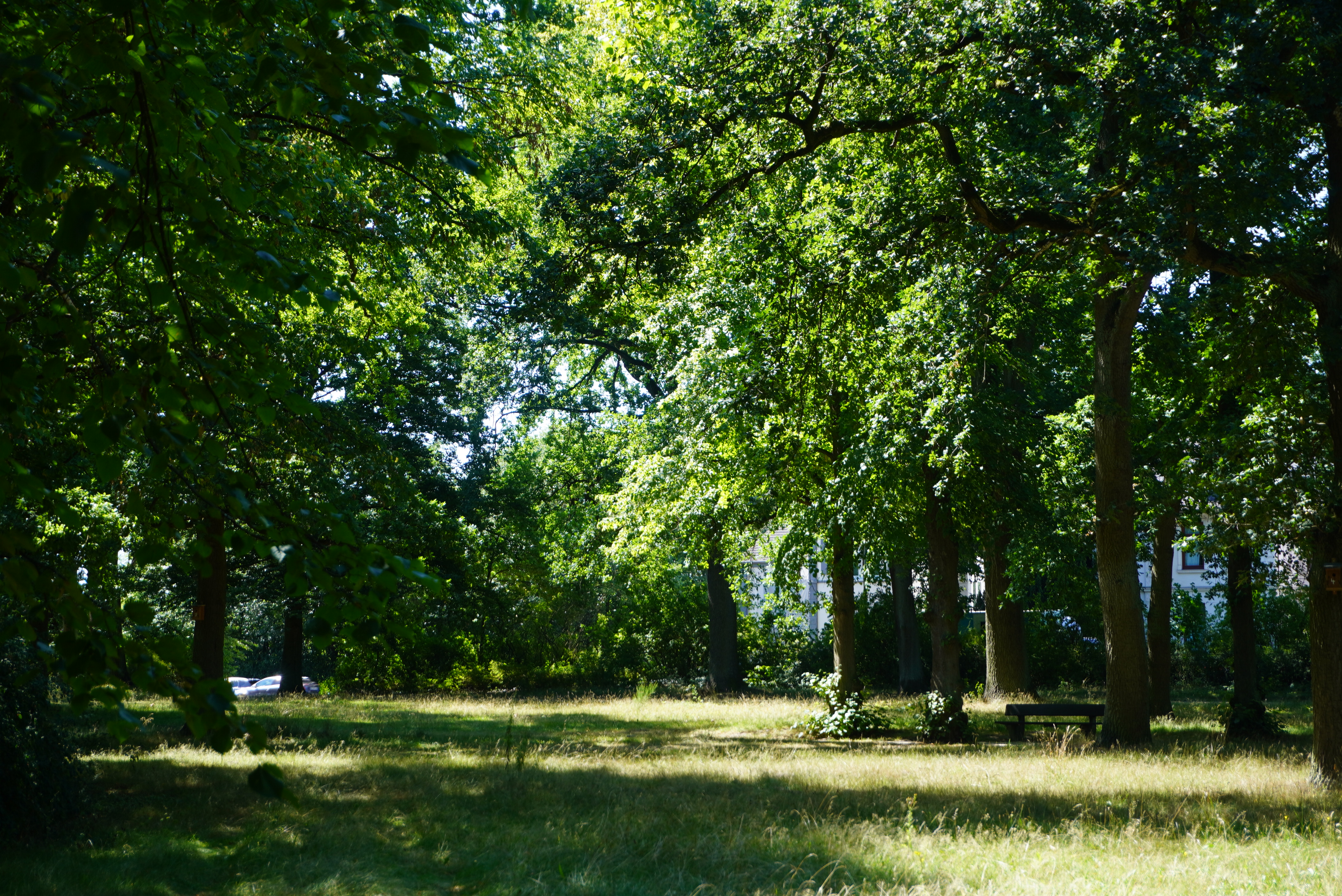 Bürgerpark Verden