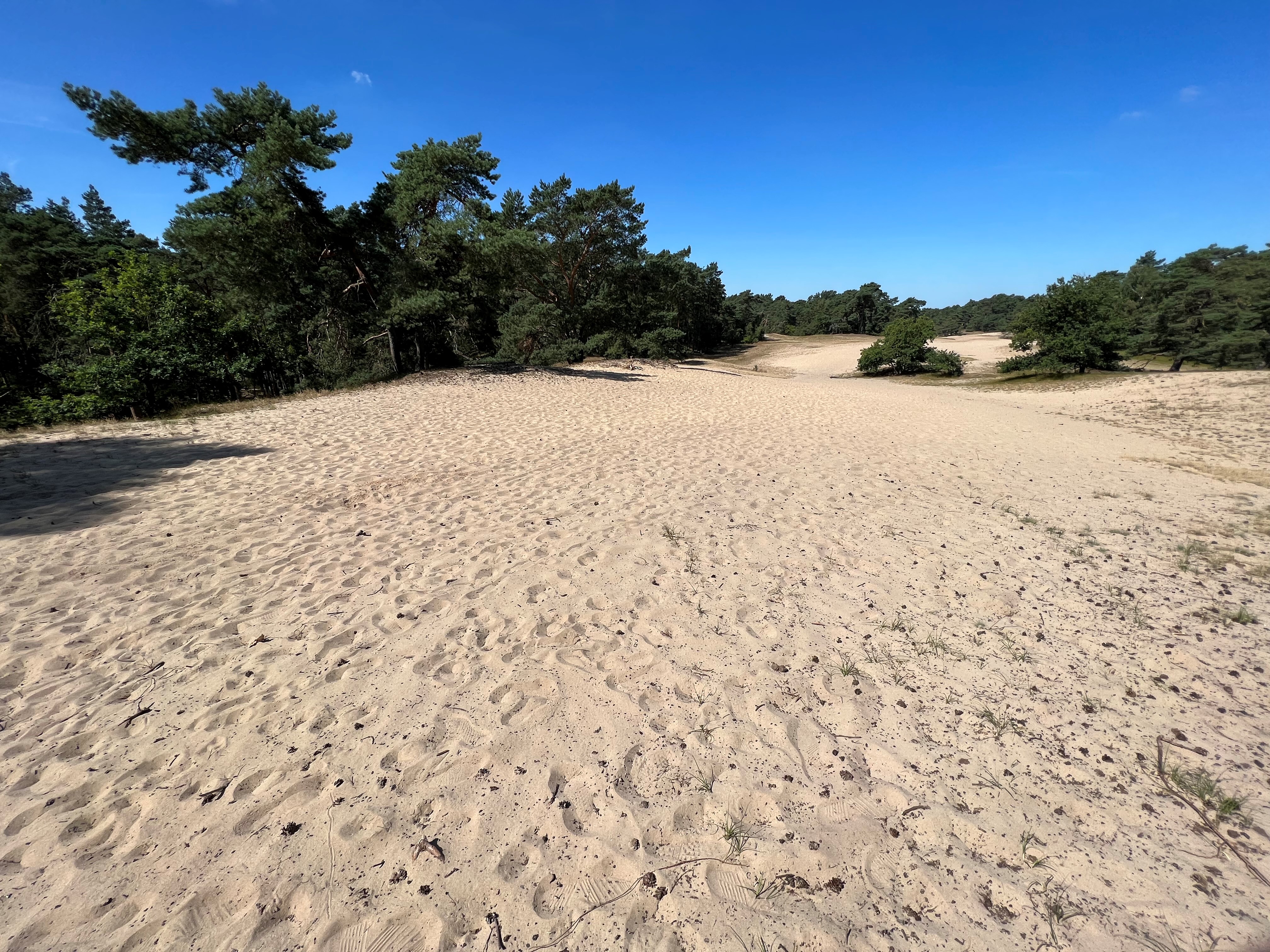 Stadtwald mit „Verdener Dünen“ und Erlebnispfad