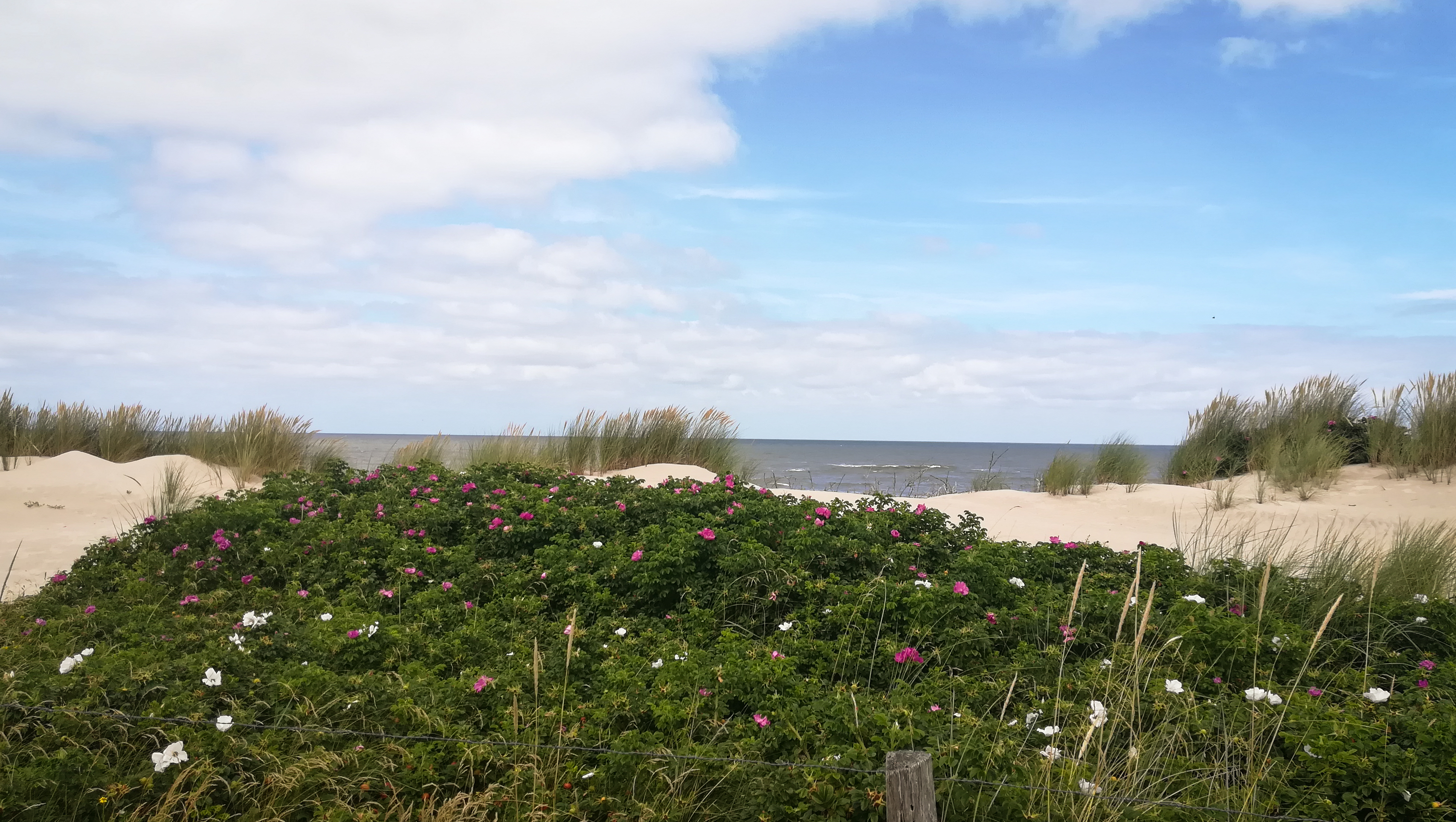 Thalasso-Therapiewege