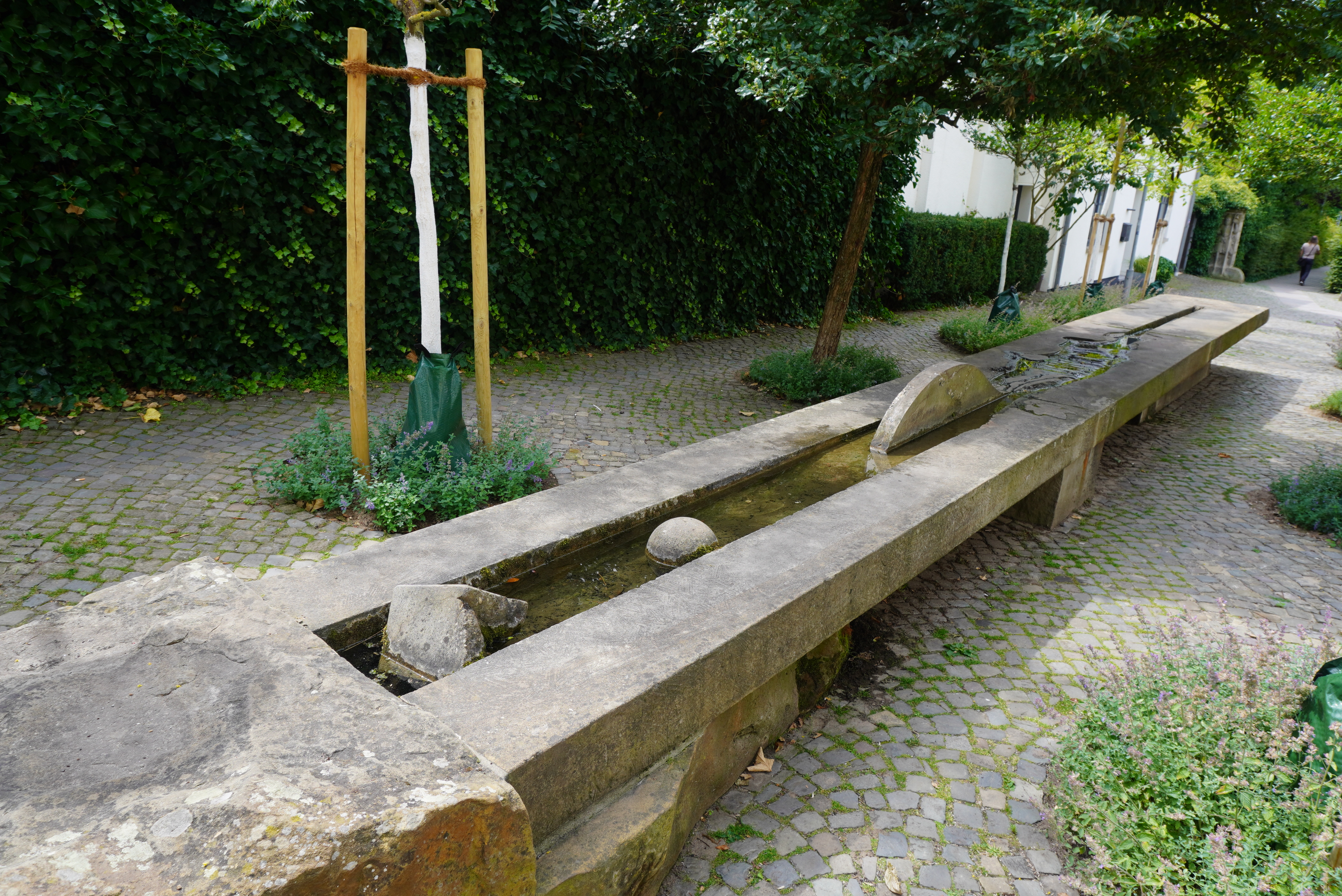 Brunnen mit Allerverlauf