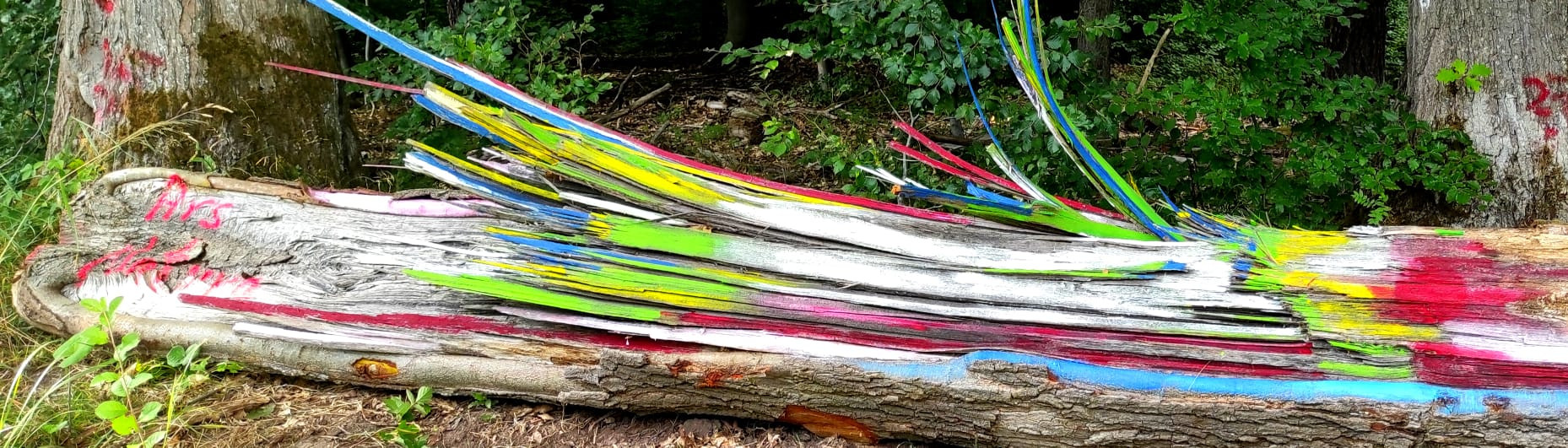 Ars Natura an der Carl Braun Hütte